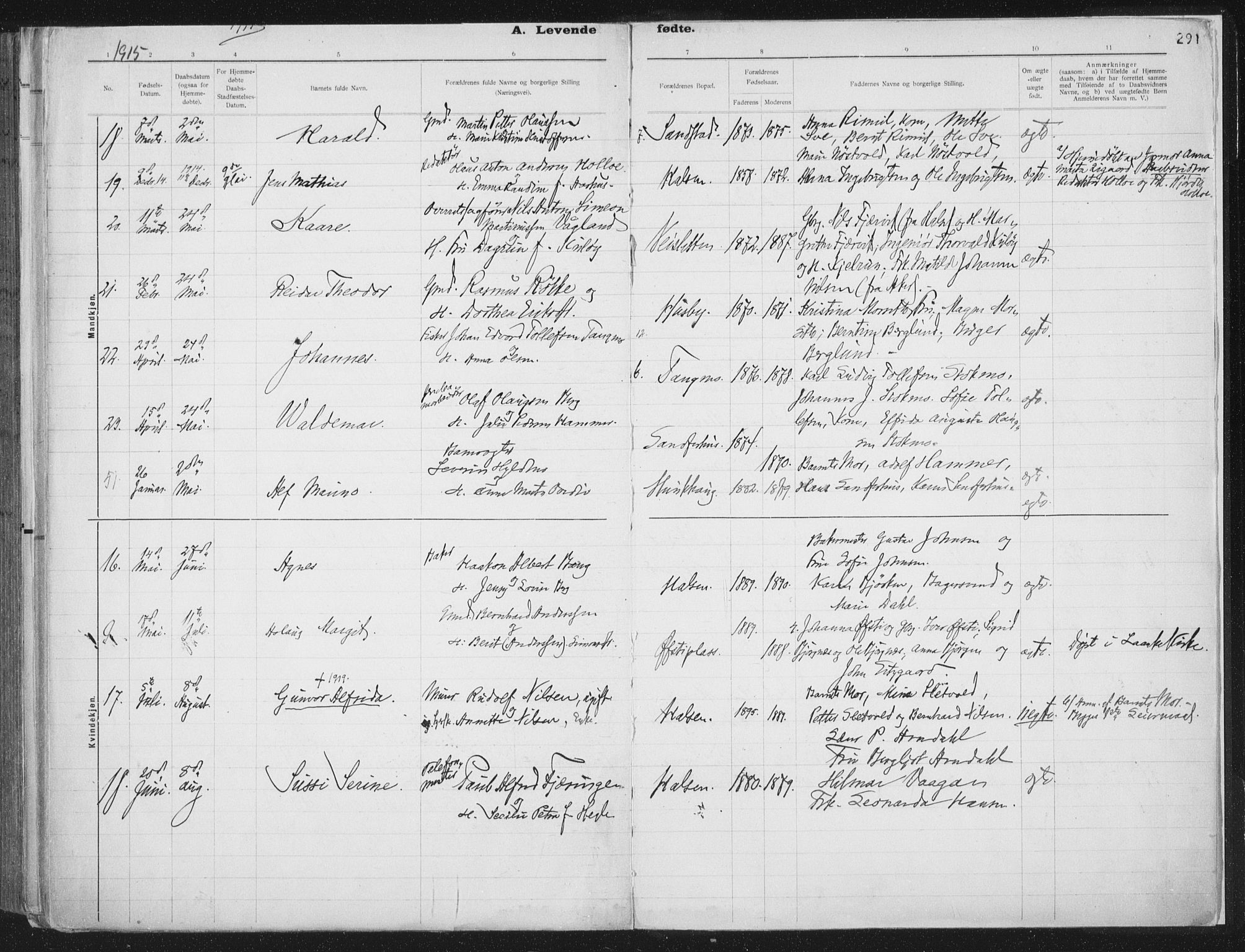 Ministerialprotokoller, klokkerbøker og fødselsregistre - Nord-Trøndelag, AV/SAT-A-1458/709/L0082: Parish register (official) no. 709A22, 1896-1916, p. 291