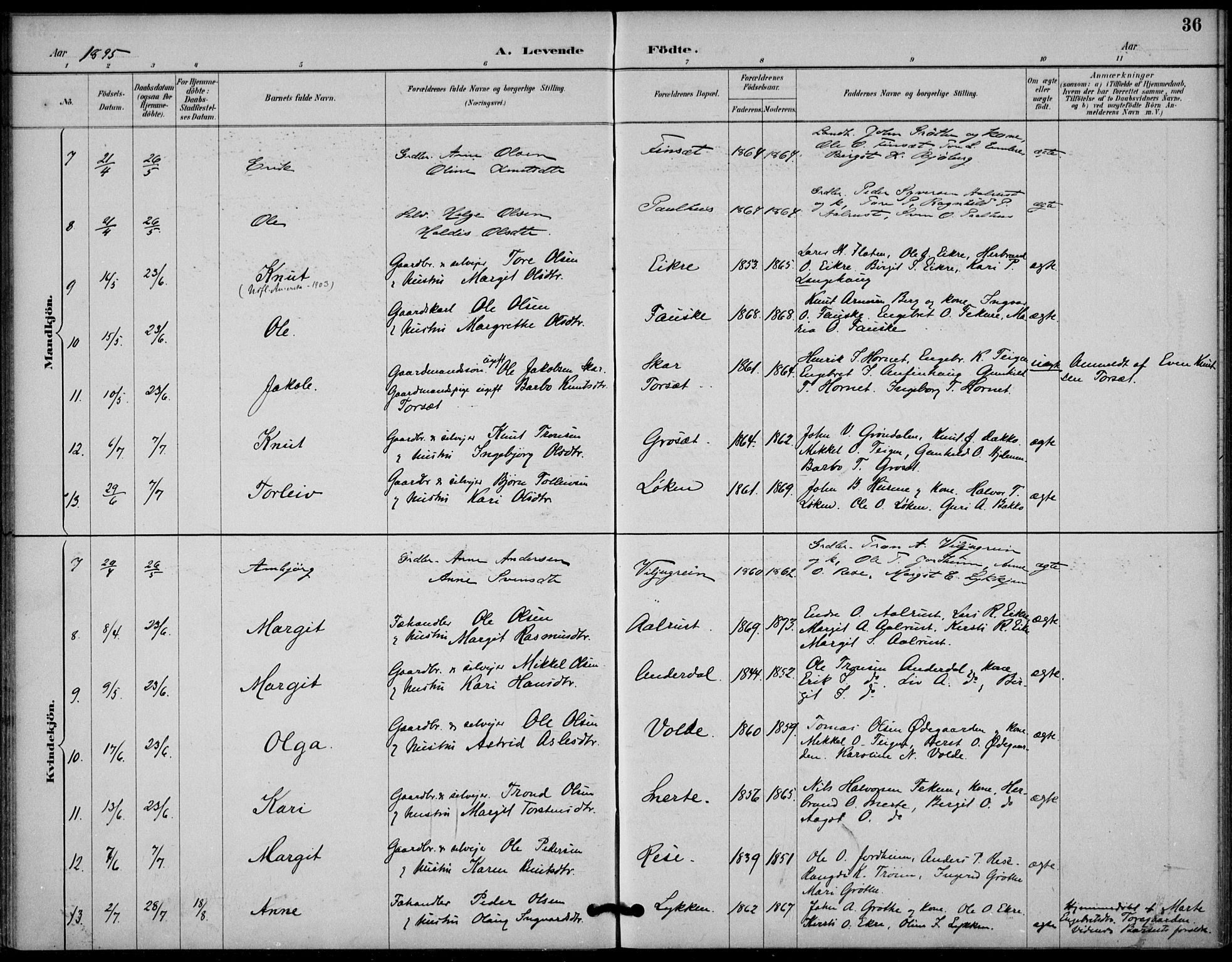 Gol kirkebøker, SAKO/A-226/F/Fb/L0001: Parish register (official) no. II 1, 1887-1900, p. 36