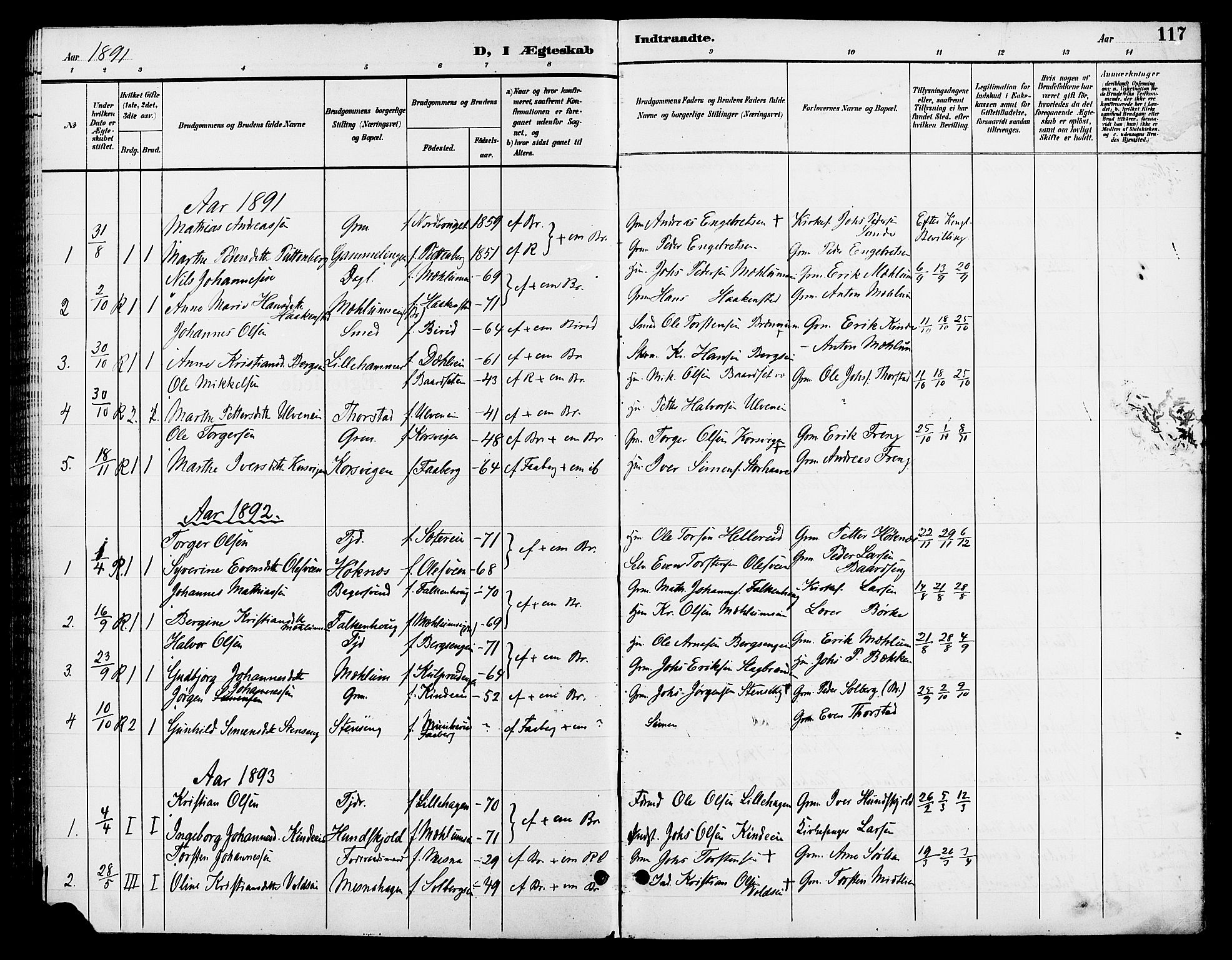 Ringsaker prestekontor, AV/SAH-PREST-014/L/La/L0013: Parish register (copy) no. 13, 1891-1904, p. 117
