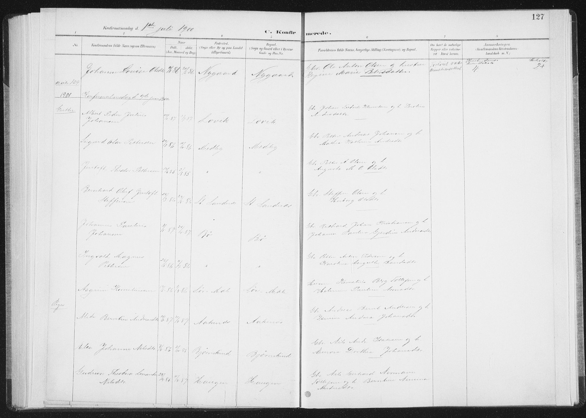 Ministerialprotokoller, klokkerbøker og fødselsregistre - Nordland, SAT/A-1459/898/L1422: Parish register (official) no. 898A02, 1887-1908, p. 127