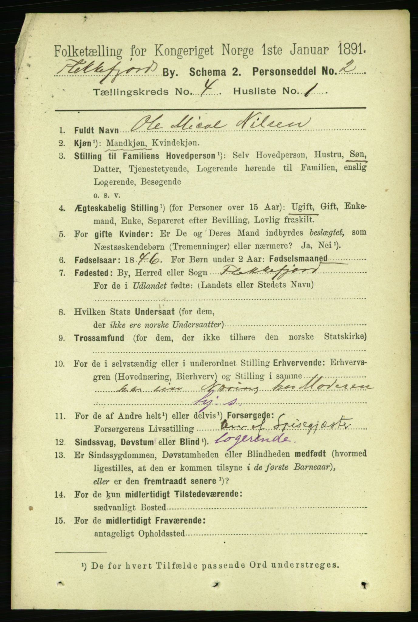 RA, 1891 census for 1004 Flekkefjord, 1891, p. 1026