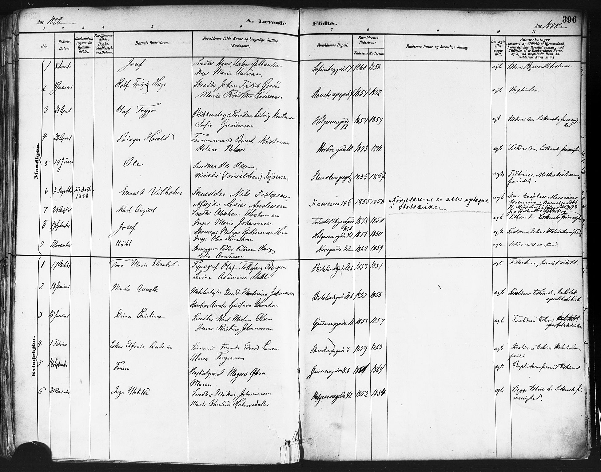 Paulus prestekontor Kirkebøker, SAO/A-10871/F/Fa/L0013: Parish register (official) no. 13, 1887-1894, p. 396