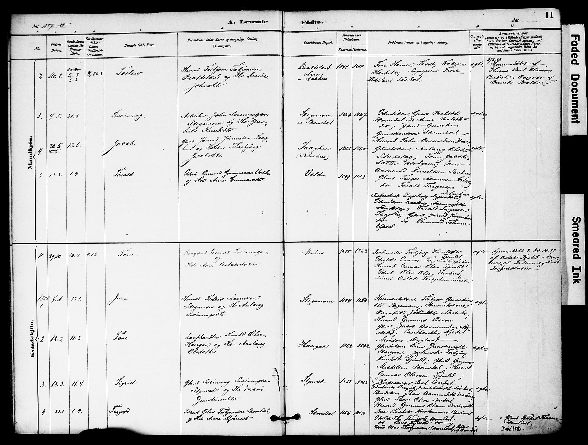 Bygland sokneprestkontor, AV/SAK-1111-0006/F/Fa/Fab/L0007: Parish register (official) no. A 7, 1885-1909, p. 11