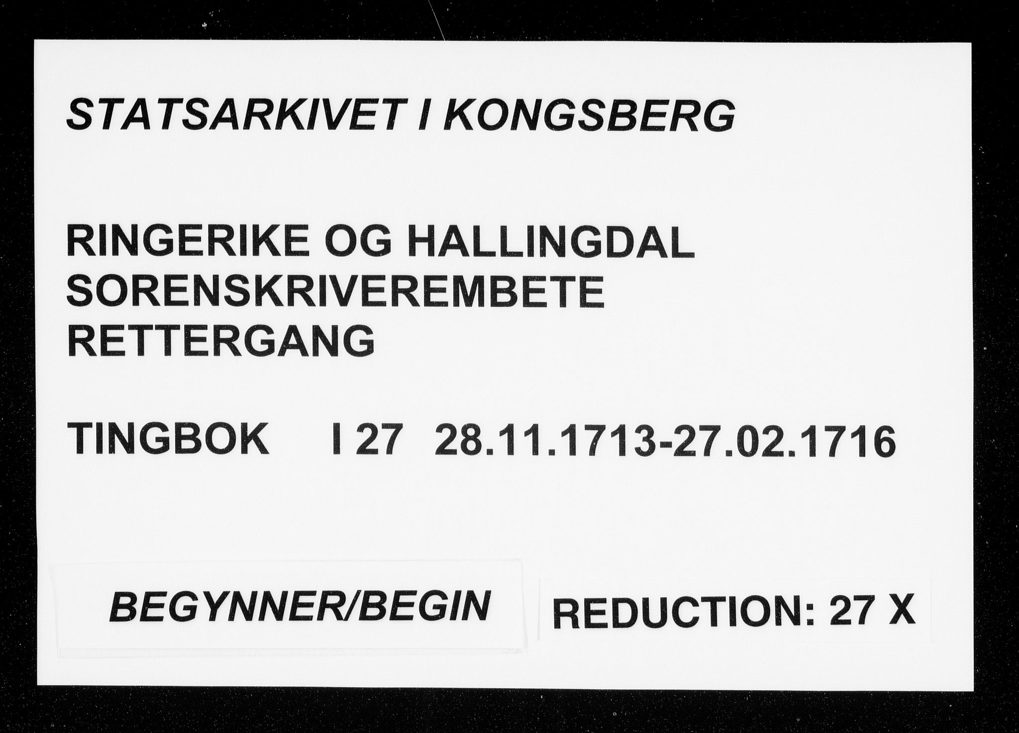 Ringerike og Hallingdal sorenskriveri, AV/SAKO-A-81/F/Fa/Faa/L0027: Tingbok, 1713-1716