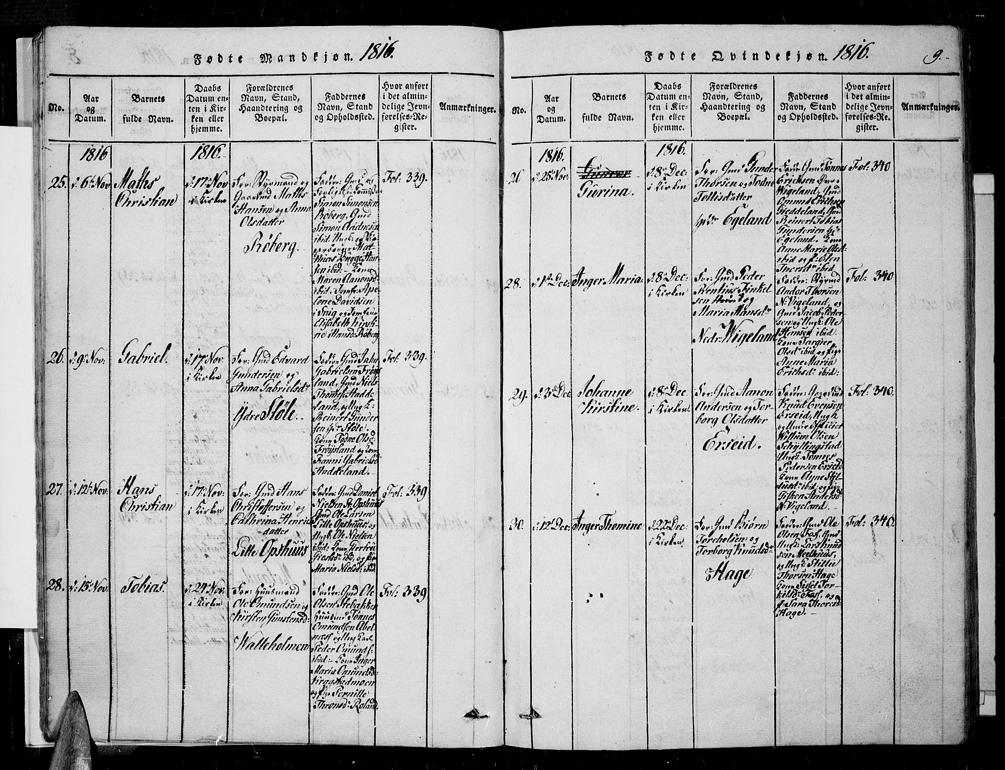 Sør-Audnedal sokneprestkontor, AV/SAK-1111-0039/F/Fa/Fab/L0005: Parish register (official) no. A 5, 1816-1830, p. 9