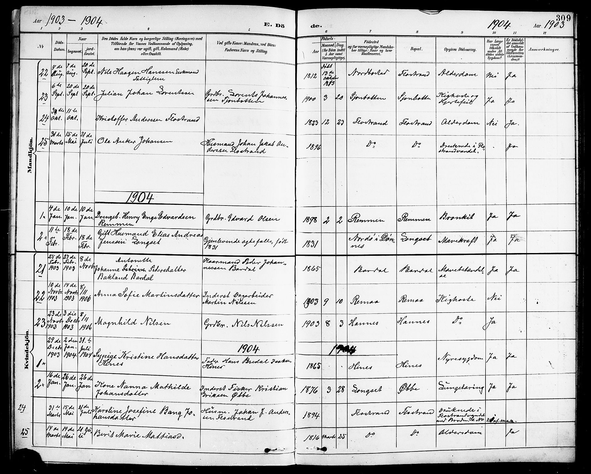 Ministerialprotokoller, klokkerbøker og fødselsregistre - Nordland, AV/SAT-A-1459/838/L0559: Parish register (copy) no. 838C06, 1893-1910, p. 309