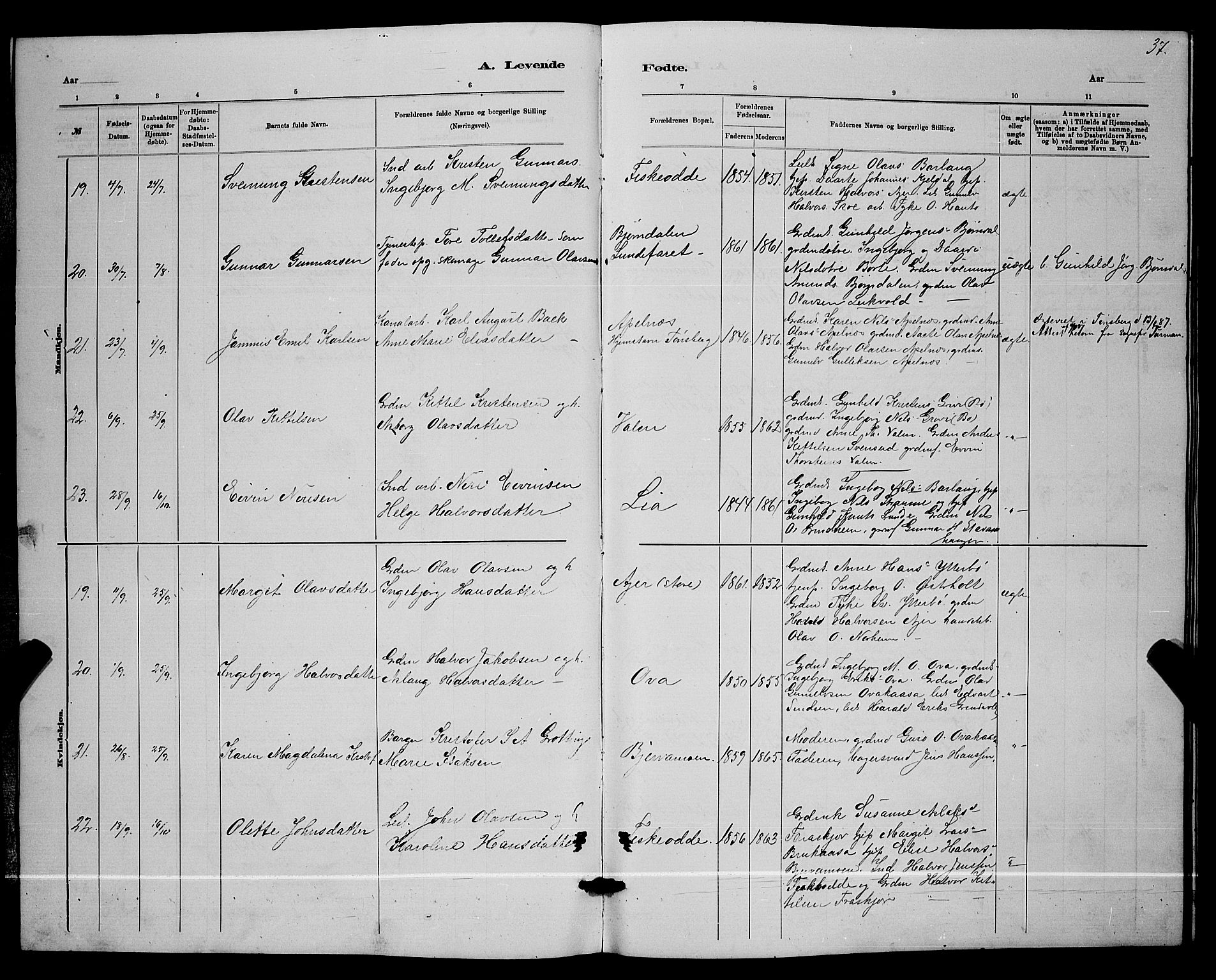 Lunde kirkebøker, AV/SAKO-A-282/G/Ga/L0001b: Parish register (copy) no. I 1, 1879-1887, p. 37