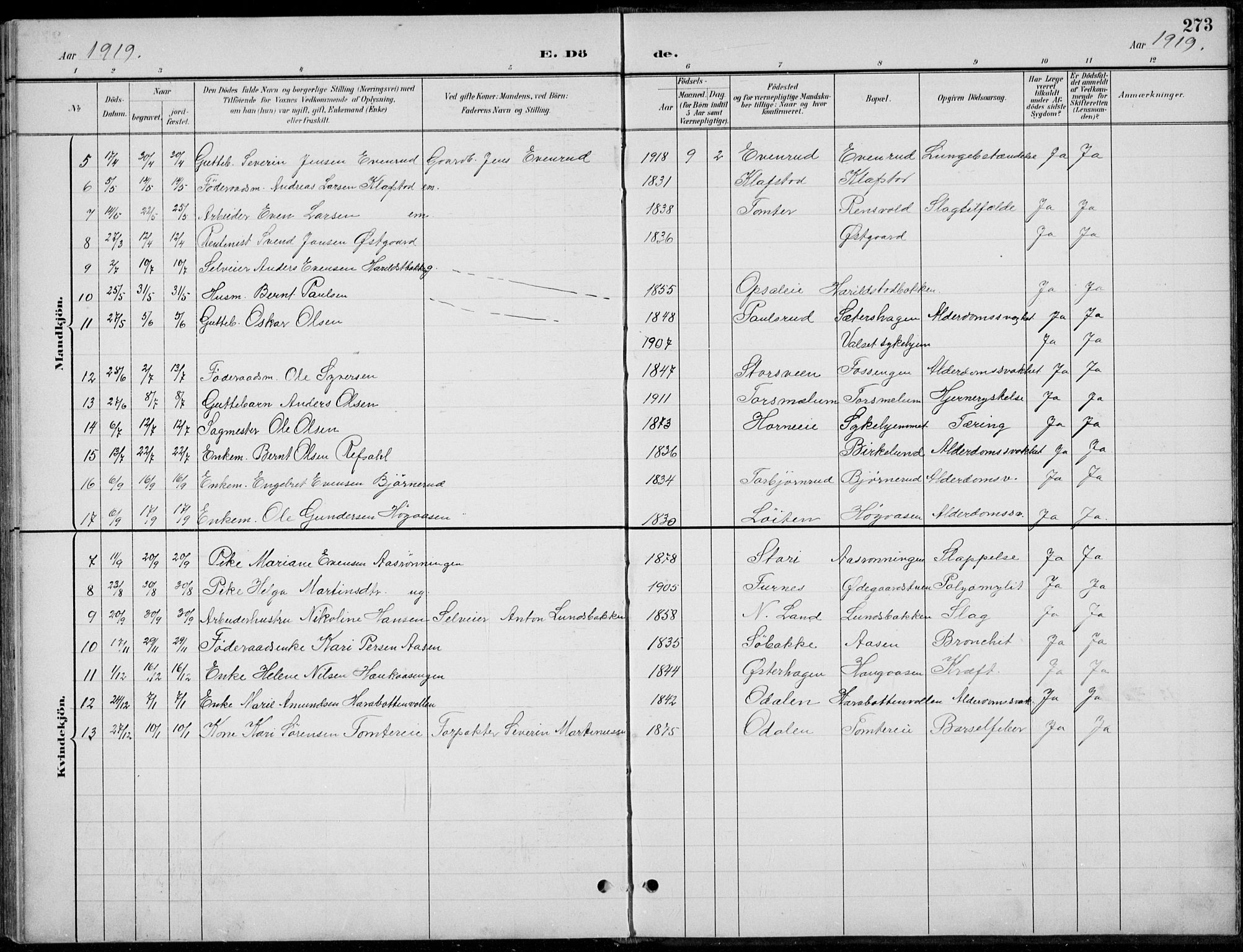 Romedal prestekontor, AV/SAH-PREST-004/L/L0013: Parish register (copy) no. 13, 1896-1937, p. 273