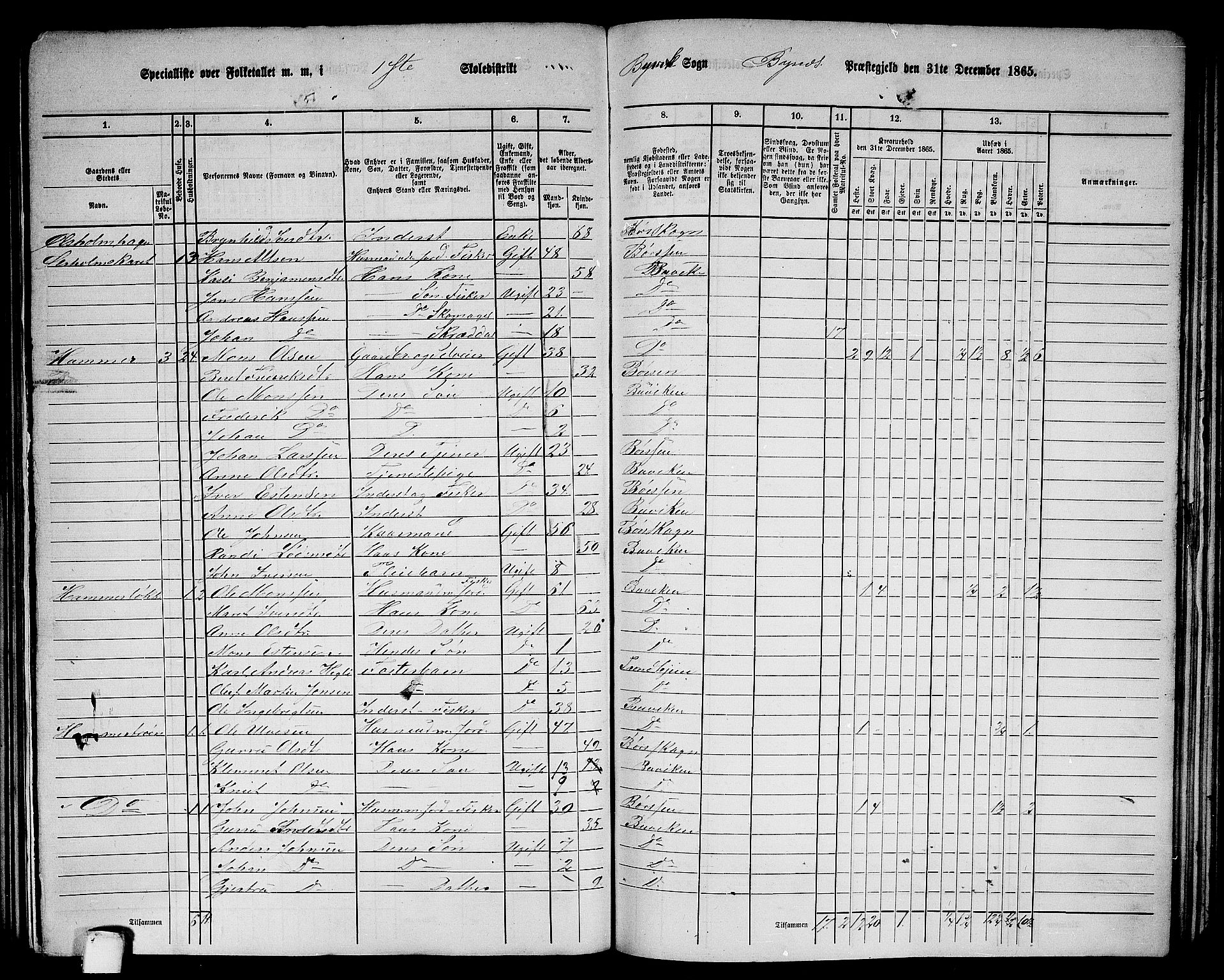 RA, 1865 census for Byneset, 1865, p. 22