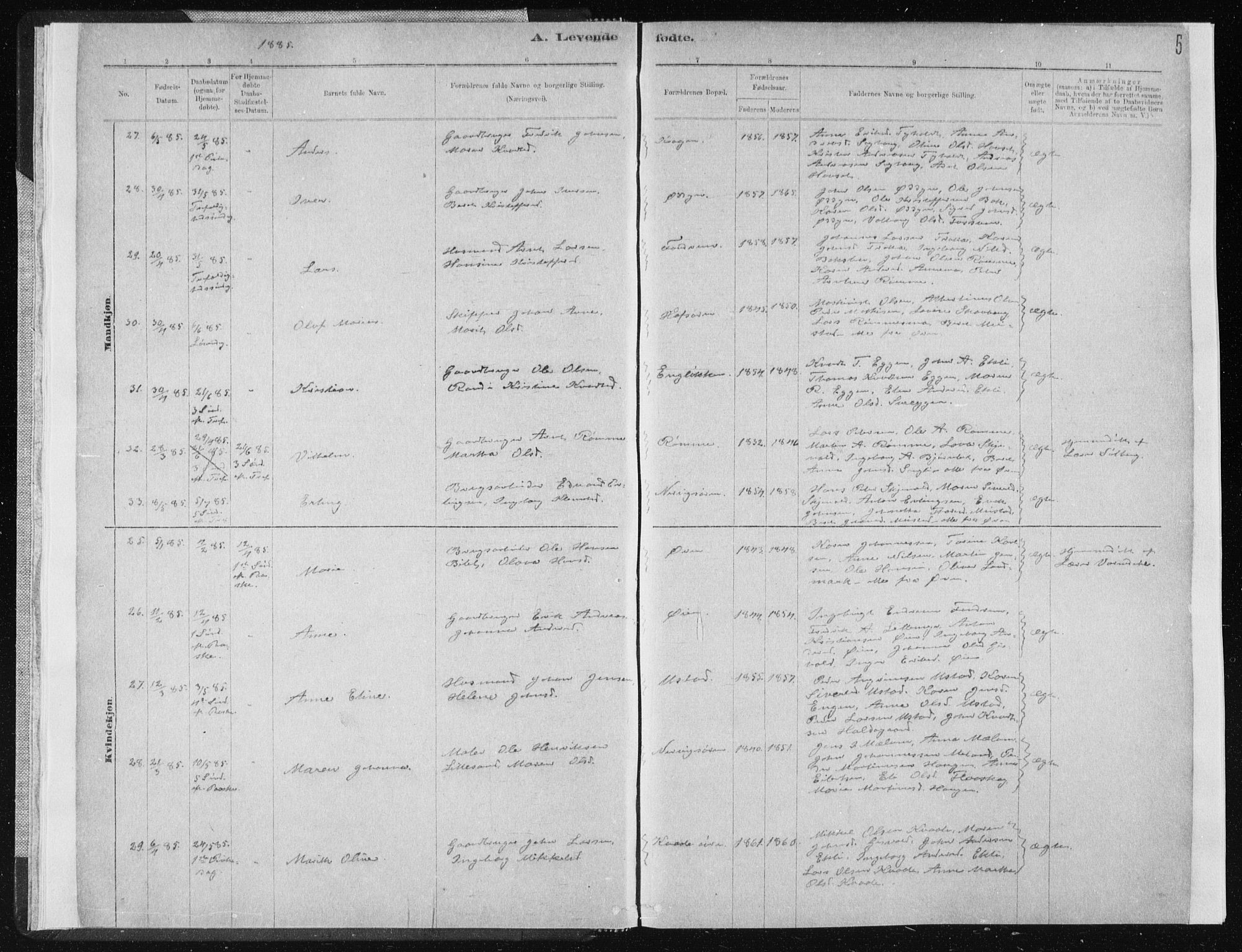 Ministerialprotokoller, klokkerbøker og fødselsregistre - Sør-Trøndelag, AV/SAT-A-1456/668/L0818: Parish register (copy) no. 668C07, 1885-1898, p. 5