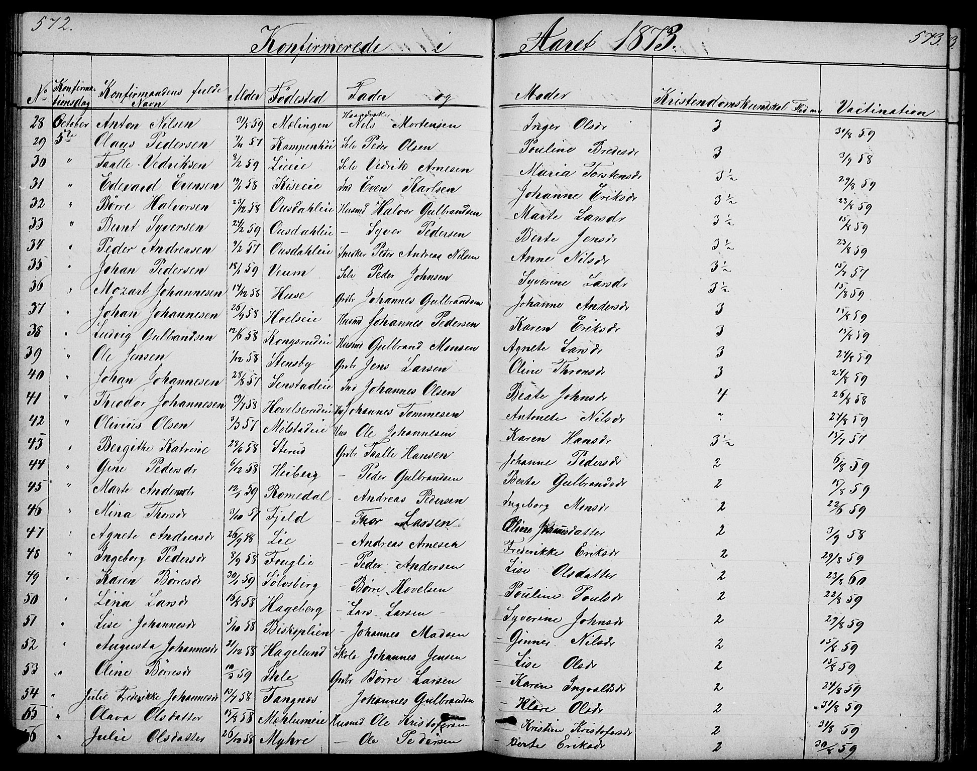 Nes prestekontor, Hedmark, AV/SAH-PREST-020/L/La/L0005: Parish register (copy) no. 5, 1852-1889, p. 572-573