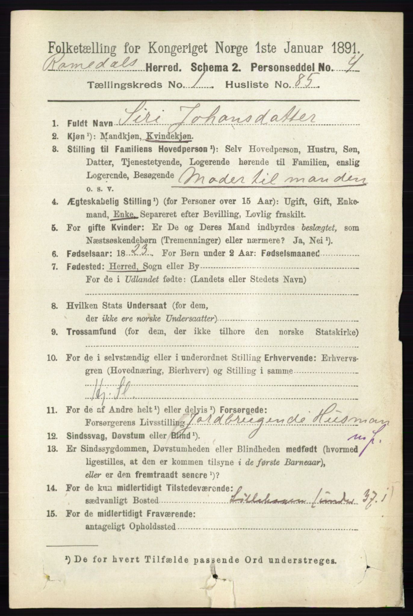 RA, 1891 census for 0416 Romedal, 1891, p. 766