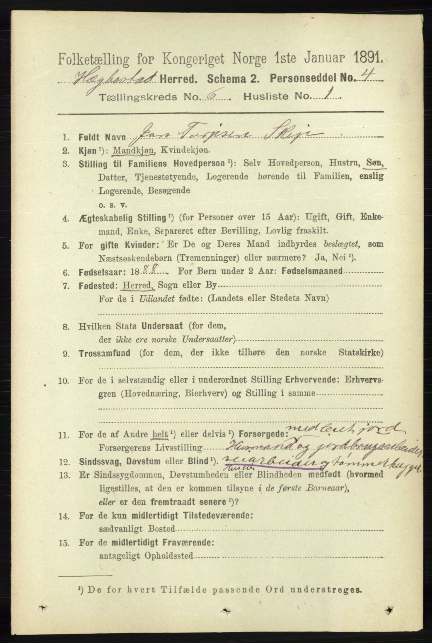 RA, 1891 census for 1034 Hægebostad, 1891, p. 1847