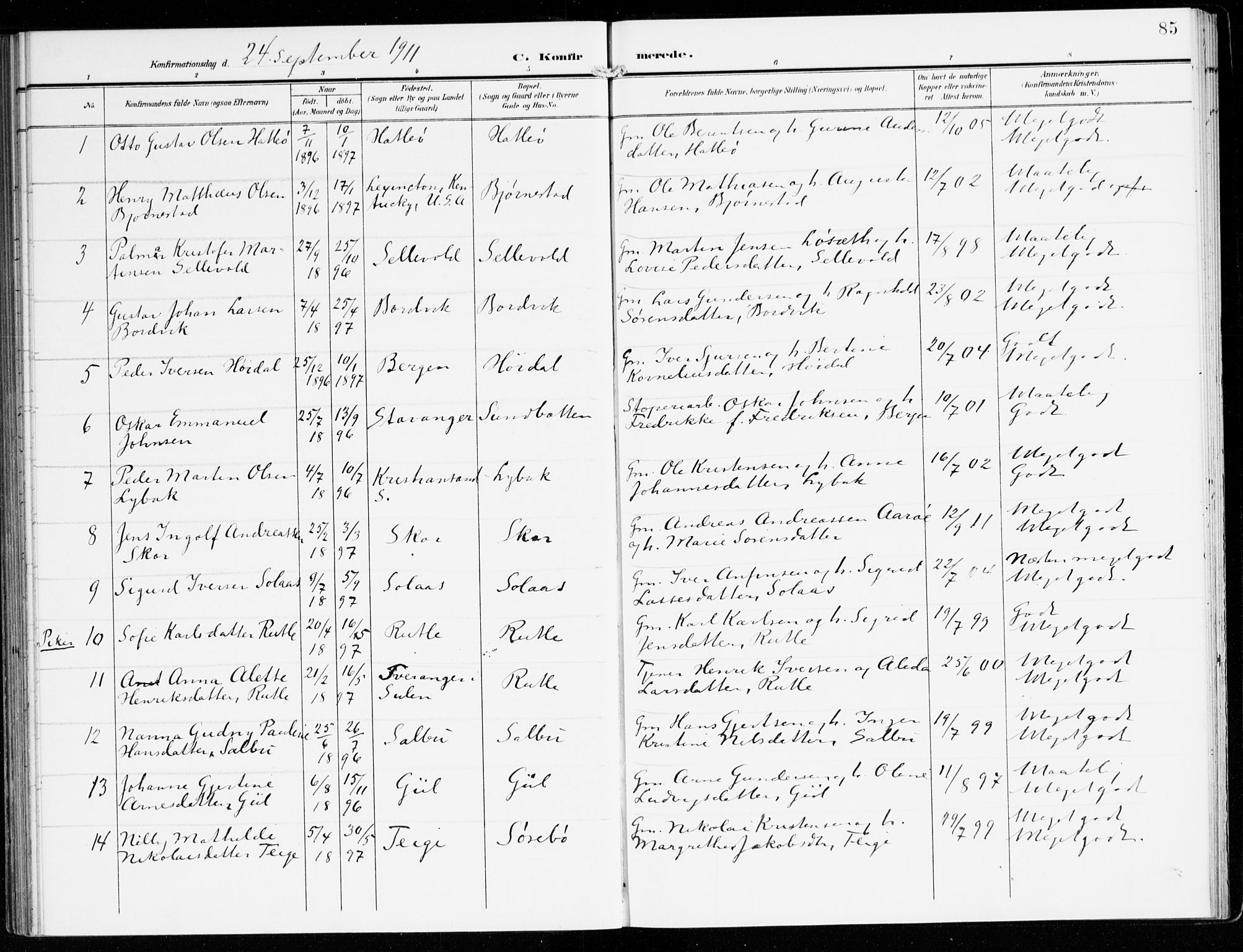 Hyllestad sokneprestembete, SAB/A-80401: Parish register (official) no. D 2, 1905-1919, p. 85