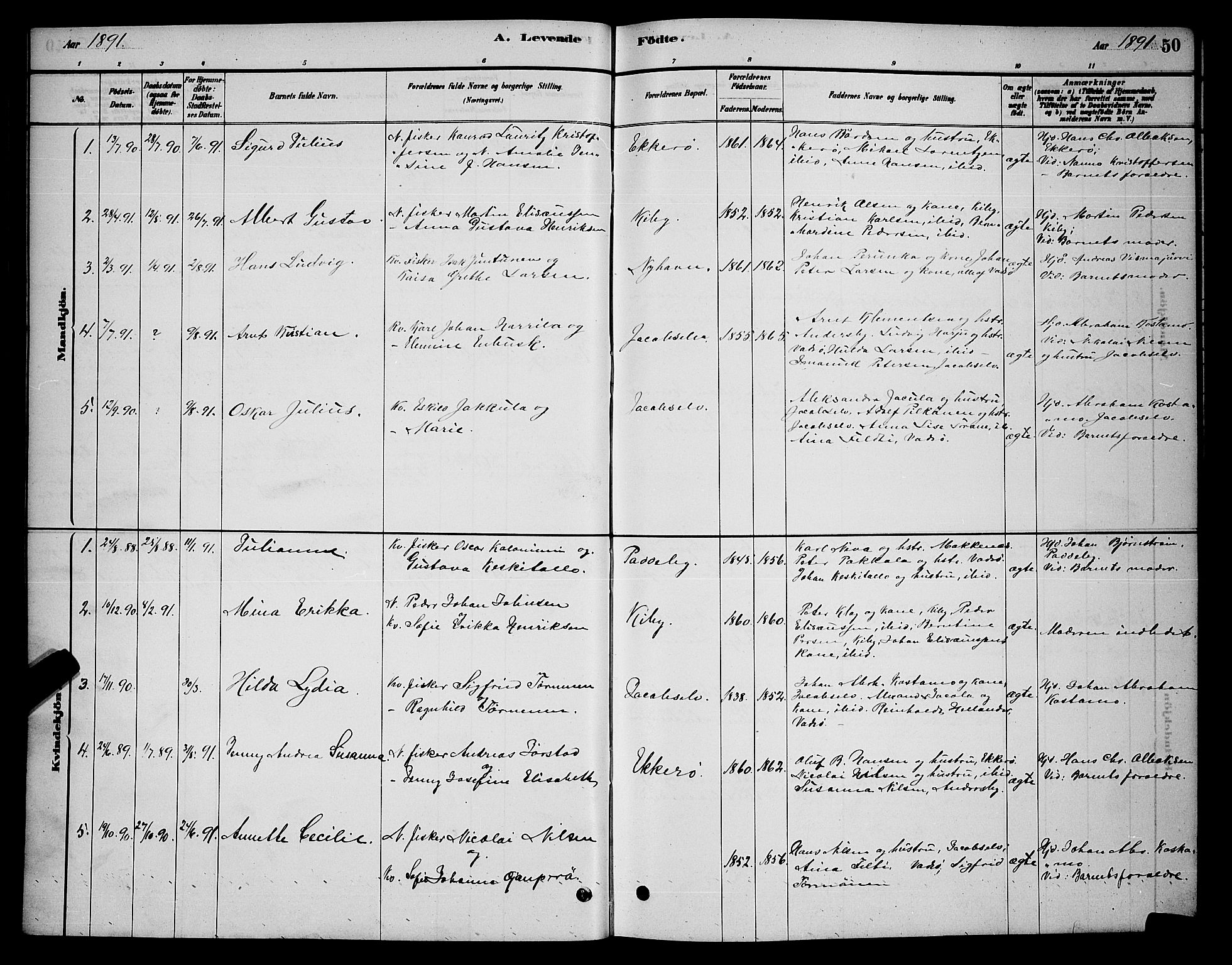 Vadsø sokneprestkontor, SATØ/S-1325/H/Hb/L0003klokker: Parish register (copy) no. 3, 1881-1901, p. 50