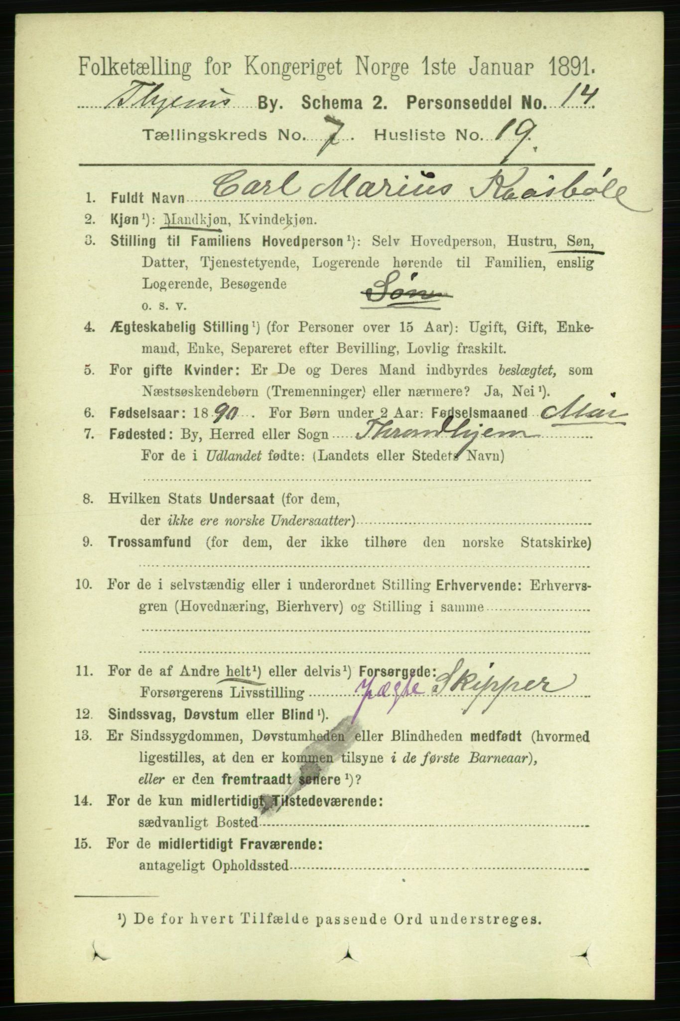 RA, 1891 census for 1601 Trondheim, 1891, p. 6207