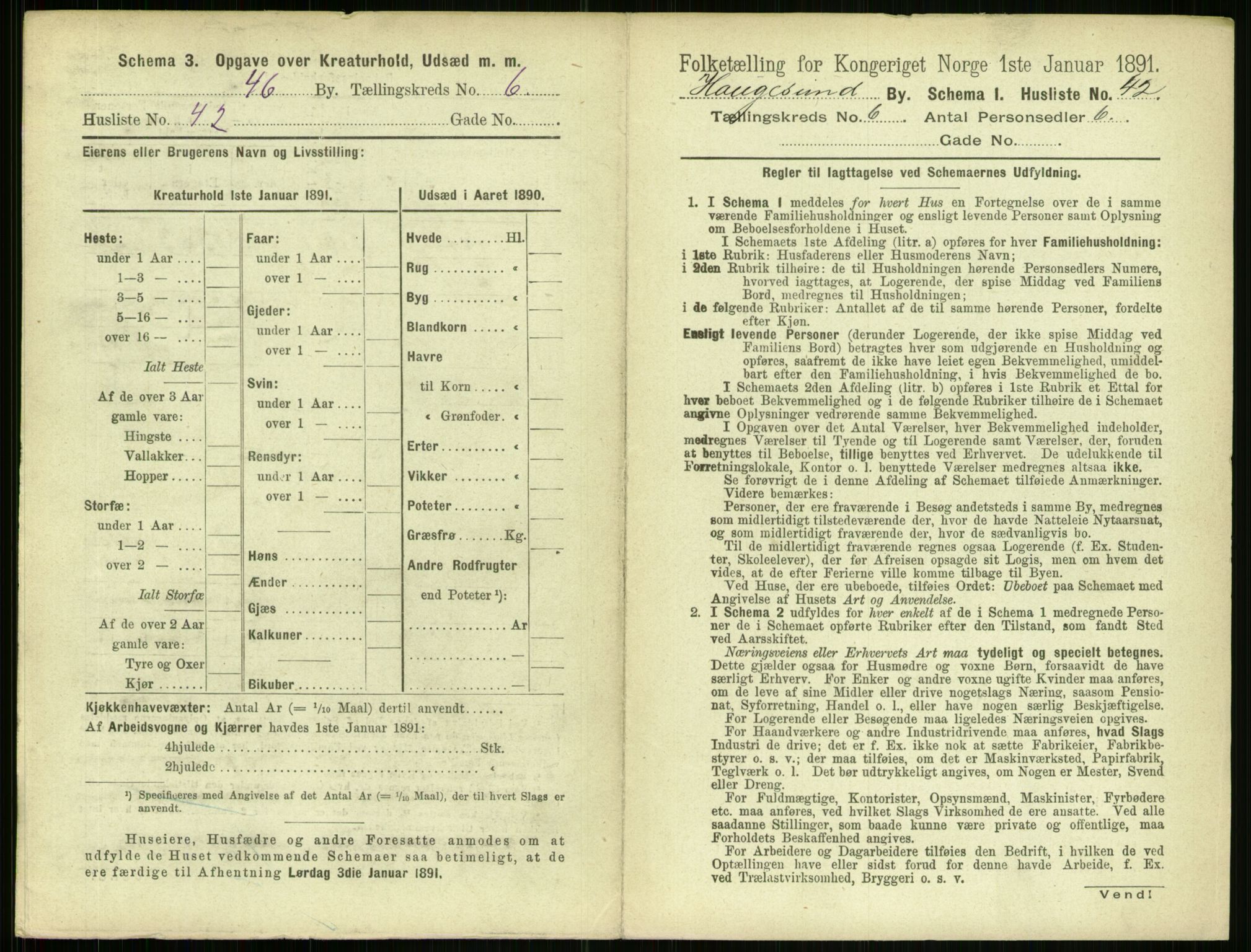 RA, 1891 census for 1106 Haugesund, 1891, p. 467