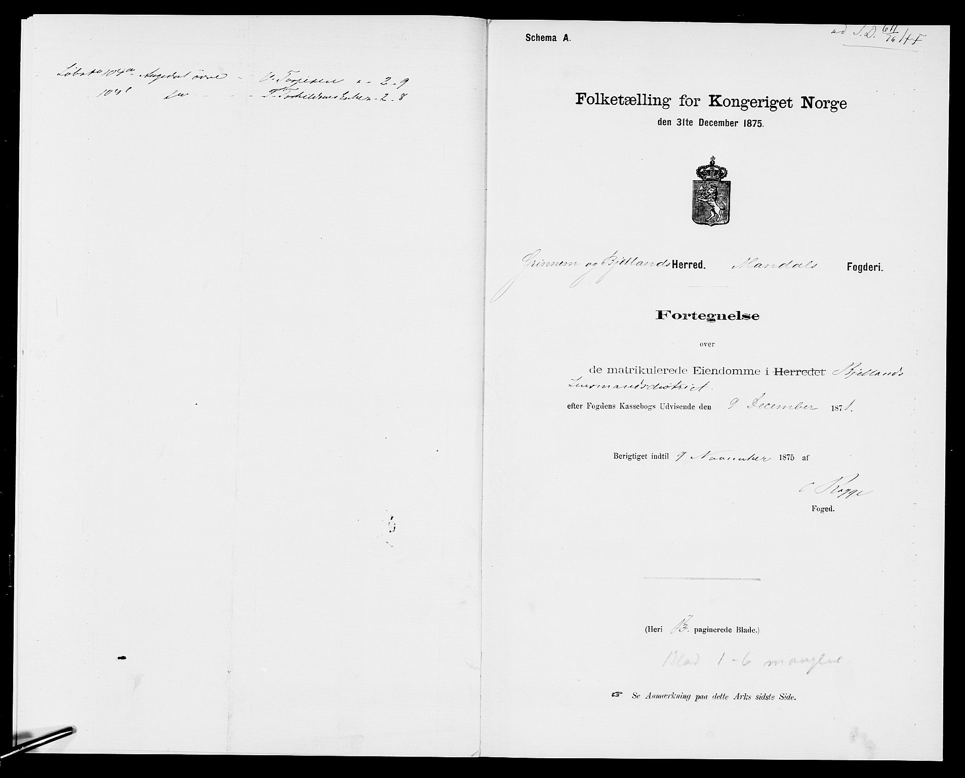 SAK, 1875 census for 1024P Bjelland, 1875, p. 9