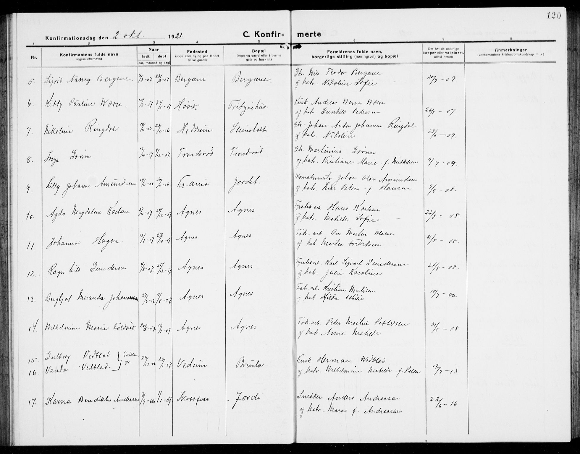 Brunlanes kirkebøker, AV/SAKO-A-342/G/Ga/L0005: Parish register (copy) no. I 5, 1918-1941, p. 120