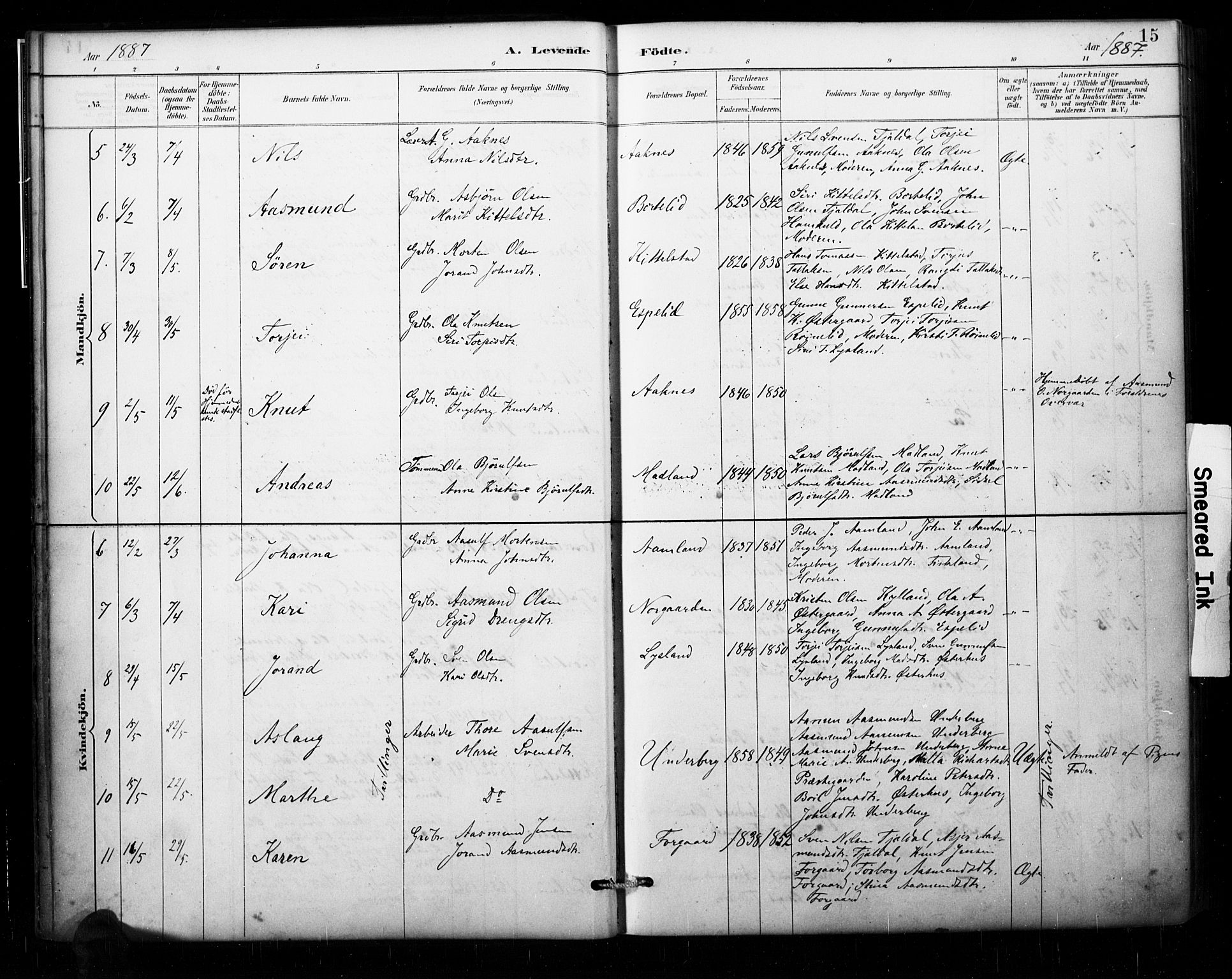 Åseral sokneprestkontor, AV/SAK-1111-0051/F/Fa/L0003: Parish register (official) no. A 3, 1884-1901, p. 15