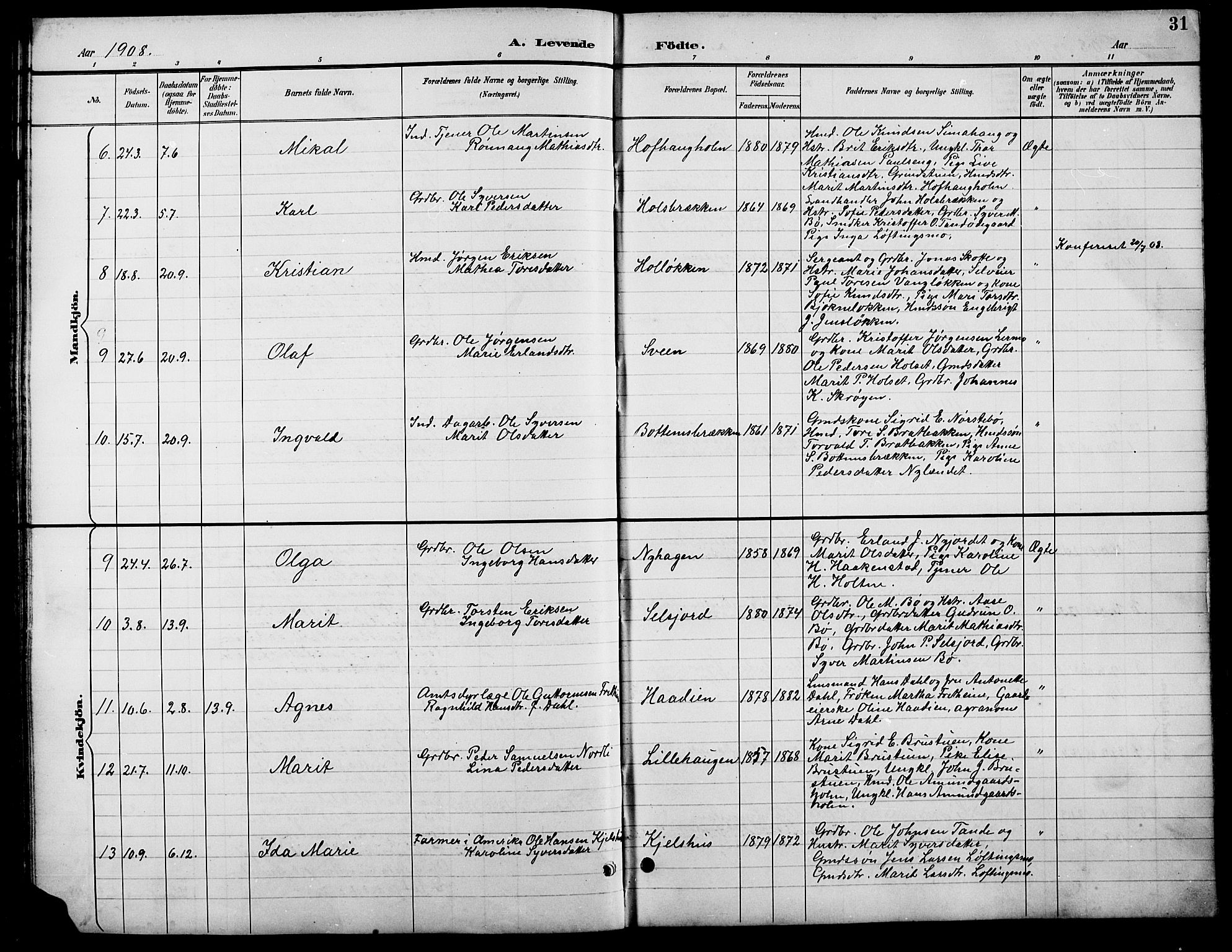 Lesja prestekontor, SAH/PREST-068/H/Ha/Hab/L0007: Parish register (copy) no. 7, 1895-1919, p. 31