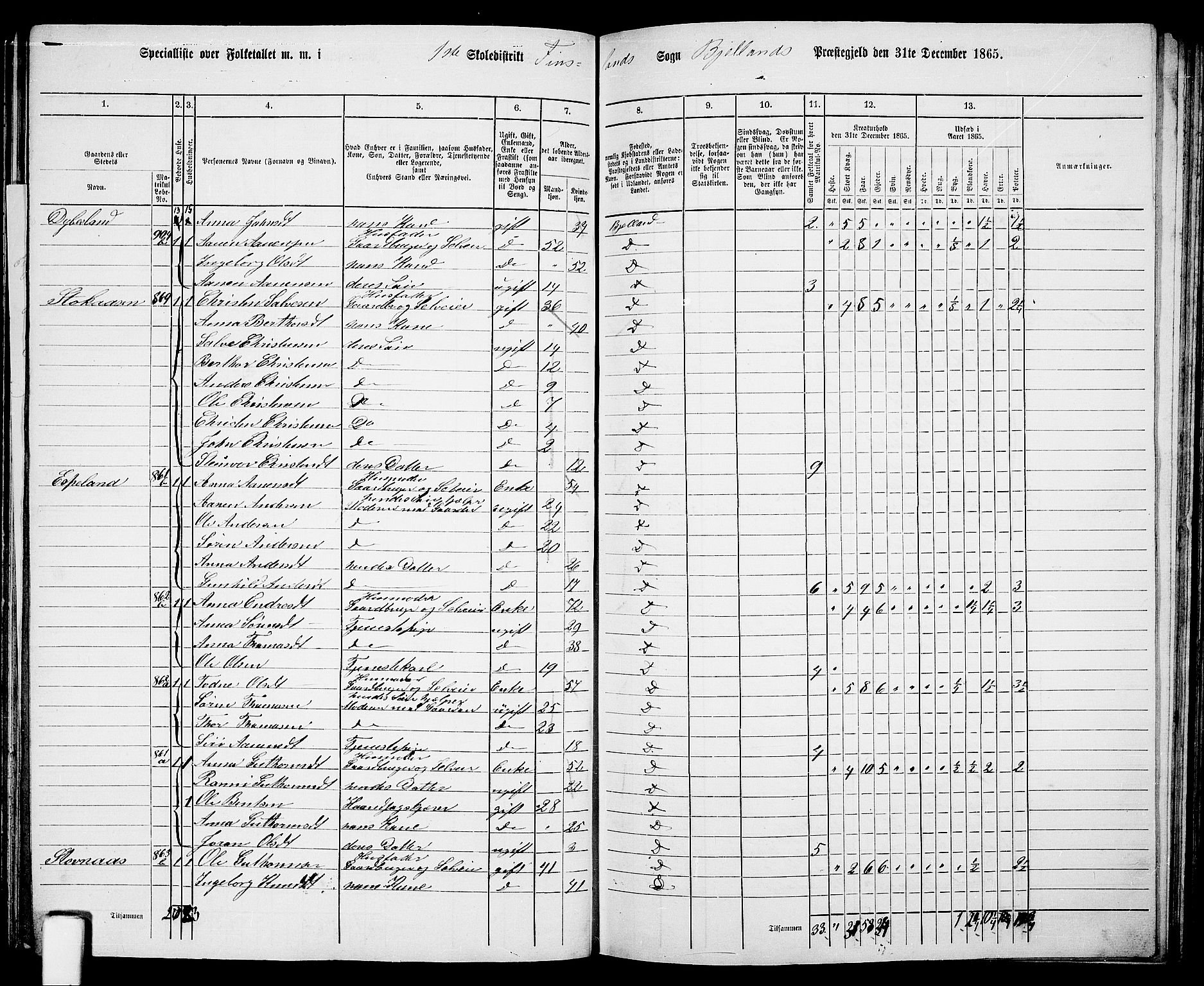 RA, 1865 census for Bjelland, 1865, p. 14