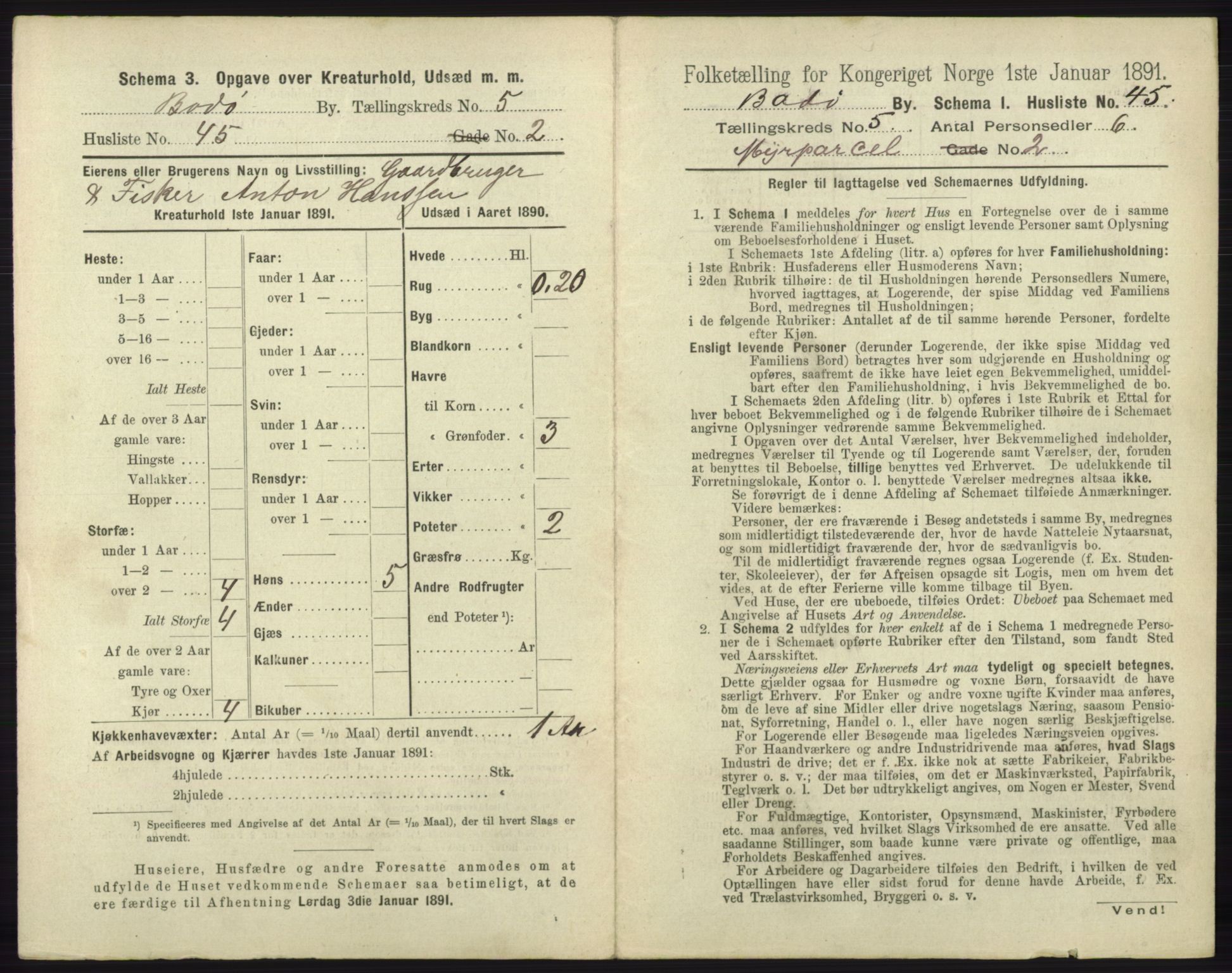 RA, 1891 census for 1804 Bodø, 1891, p. 3895