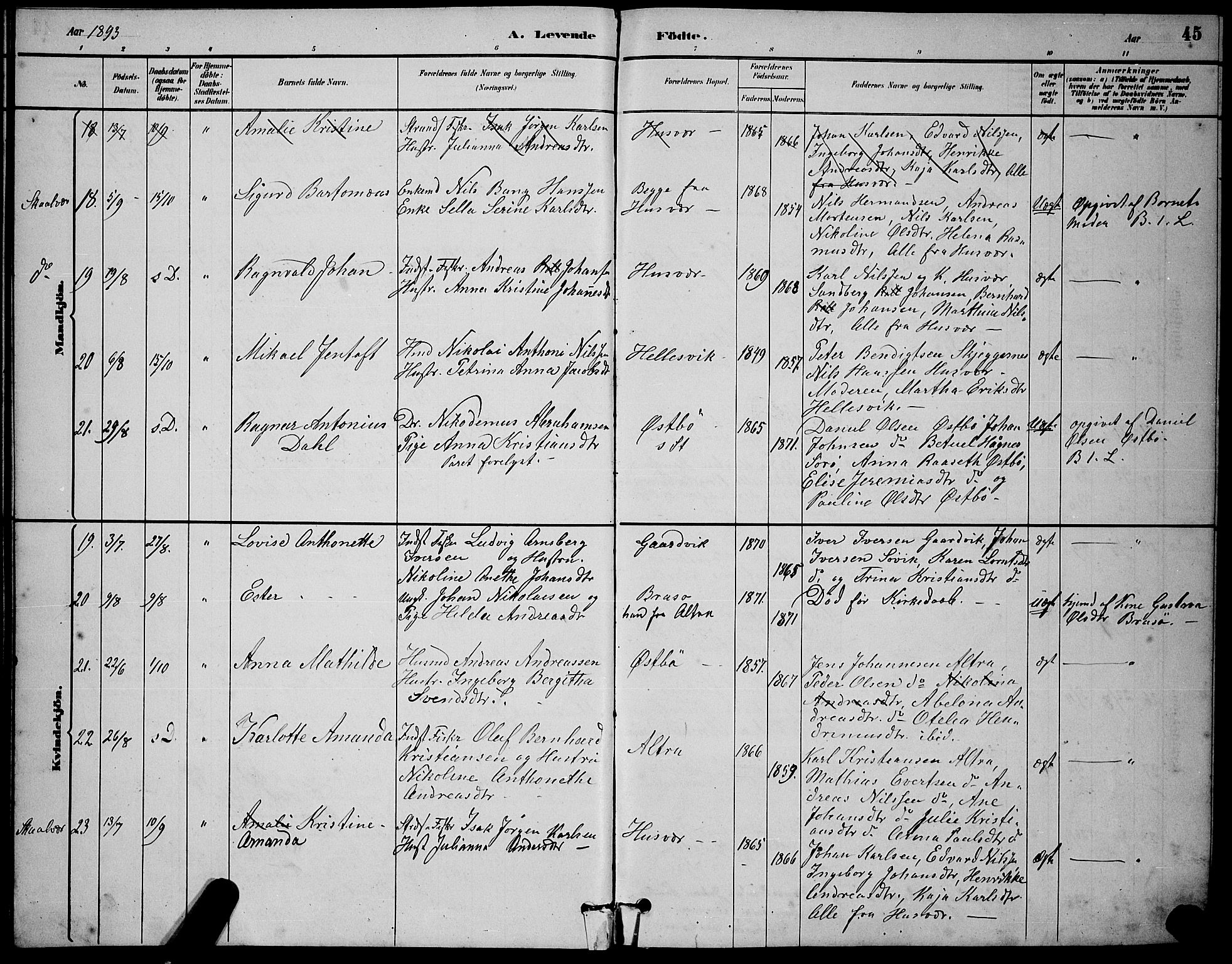 Ministerialprotokoller, klokkerbøker og fødselsregistre - Nordland, AV/SAT-A-1459/830/L0462: Parish register (copy) no. 830C04, 1882-1895, p. 45