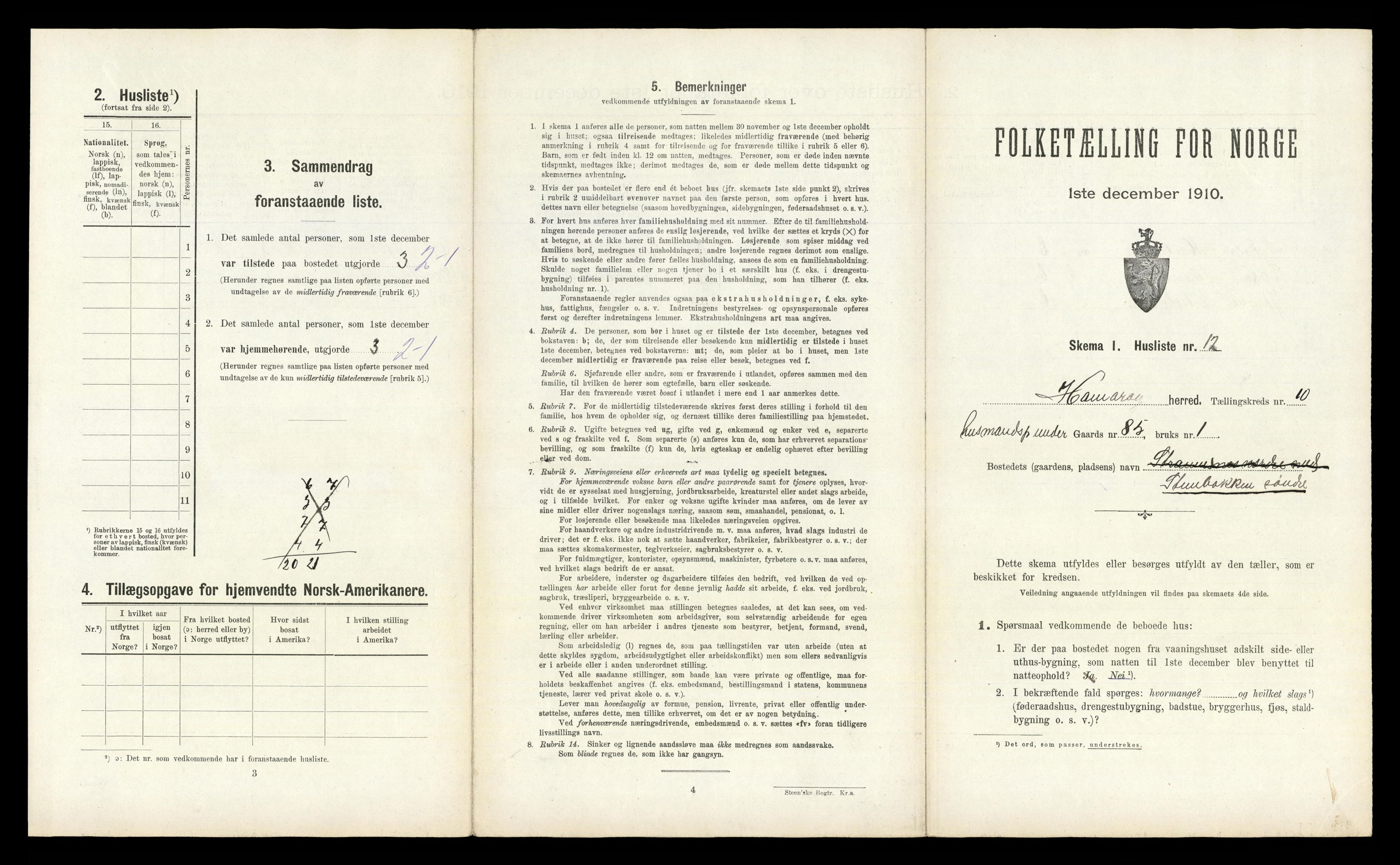 RA, 1910 census for Hamarøy, 1910, p. 1012
