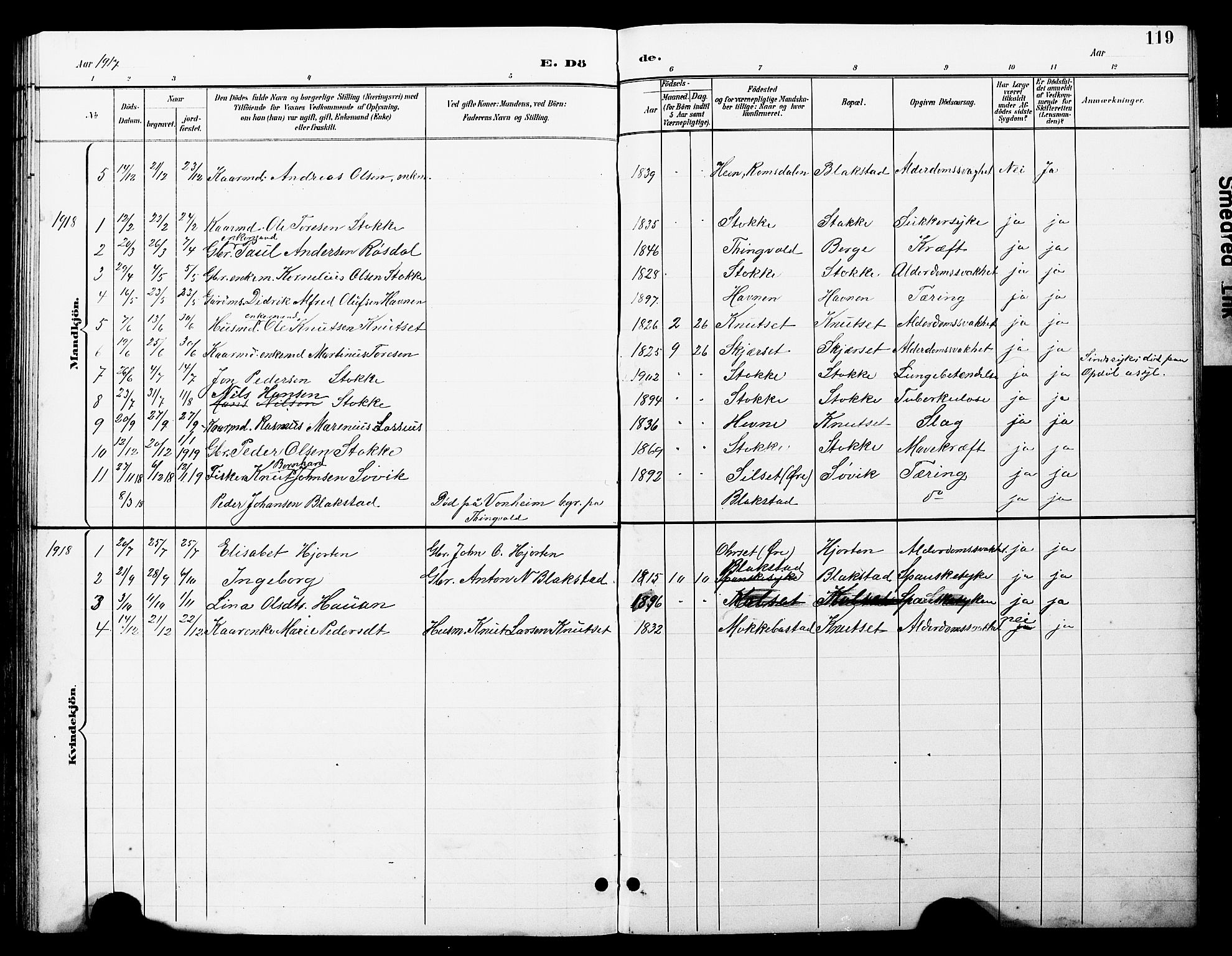 Ministerialprotokoller, klokkerbøker og fødselsregistre - Møre og Romsdal, AV/SAT-A-1454/585/L0973: Parish register (copy) no. 585C01, 1893-1930, p. 119