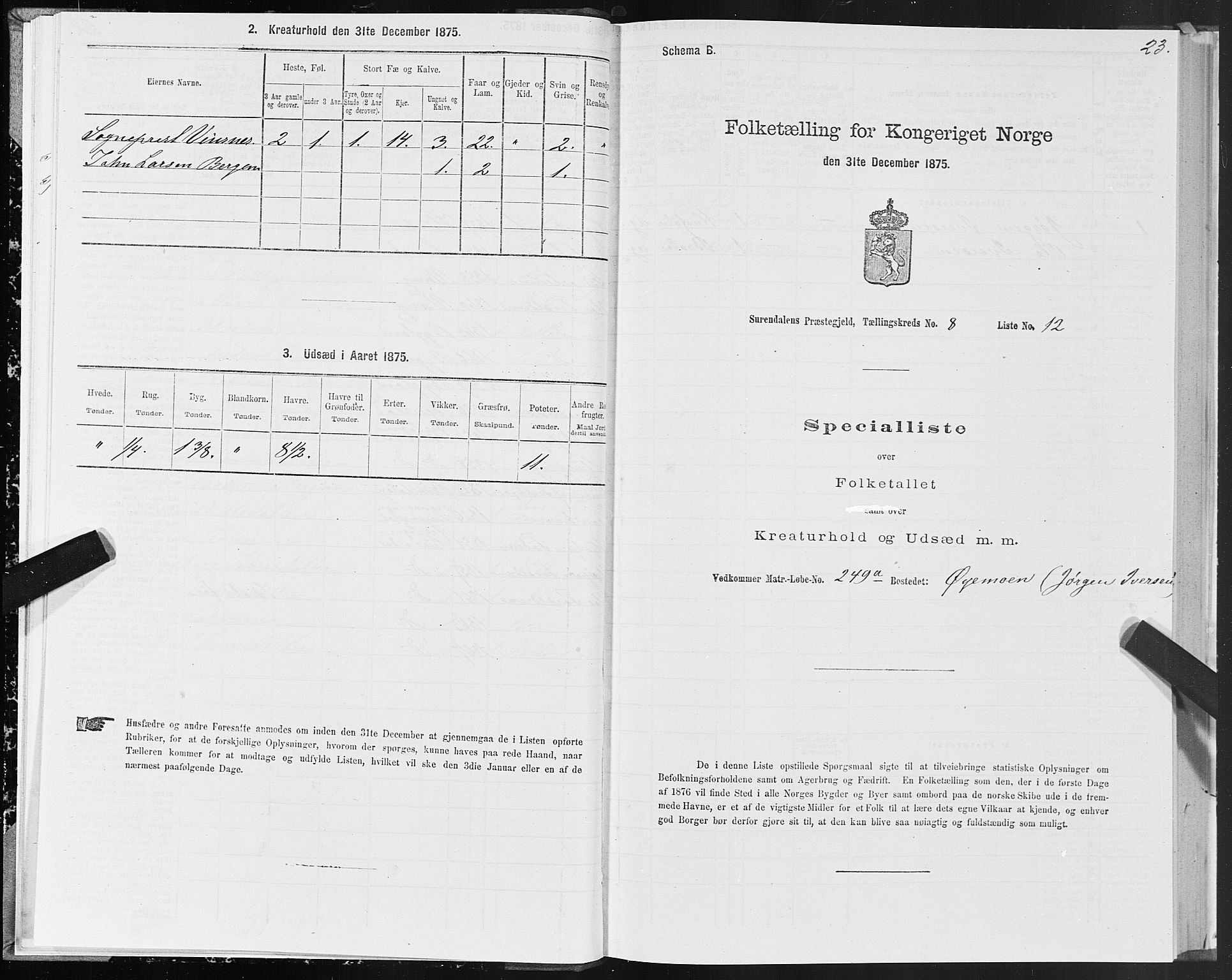 SAT, 1875 census for 1566P Surnadal, 1875, p. 4023