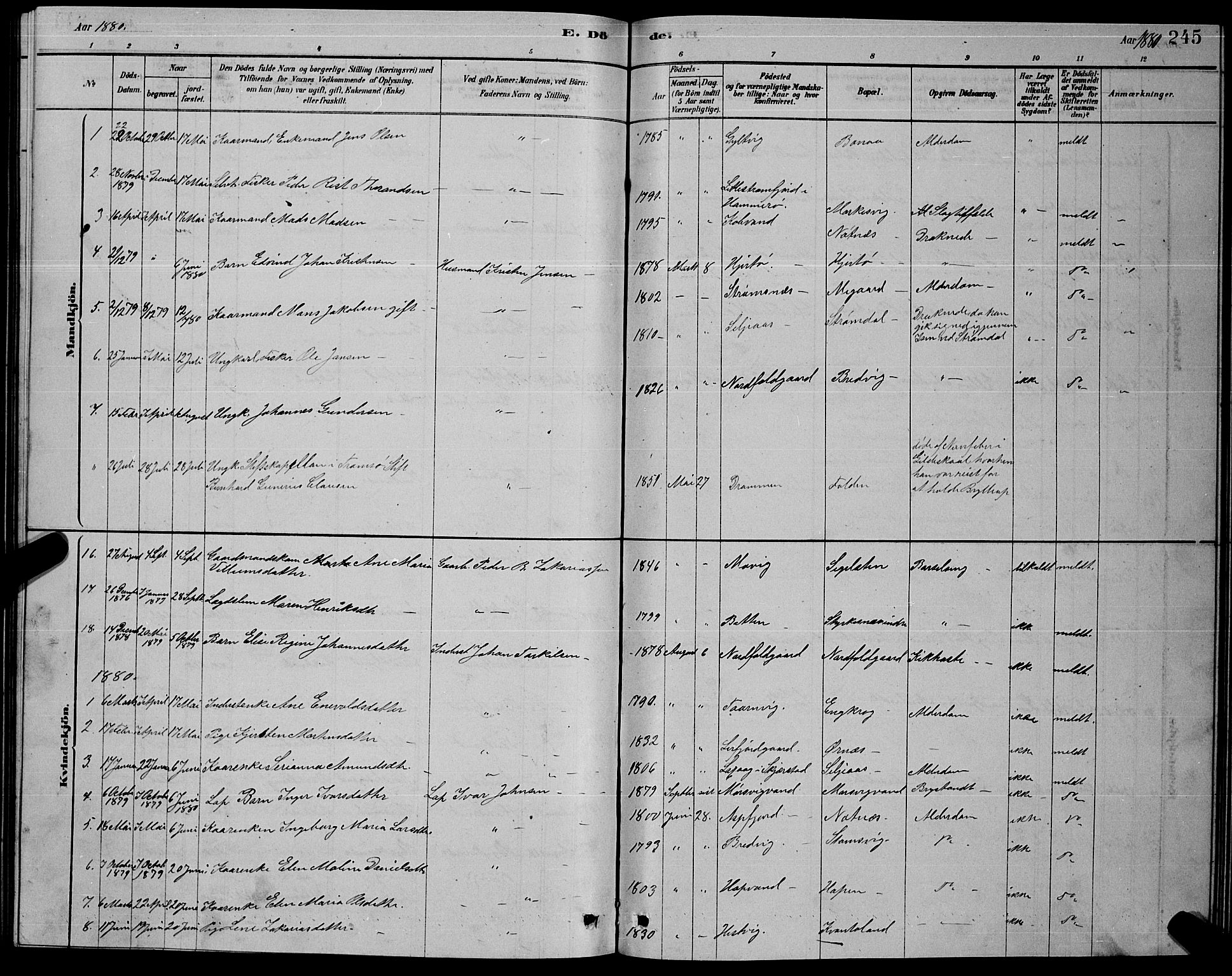 Ministerialprotokoller, klokkerbøker og fødselsregistre - Nordland, SAT/A-1459/853/L0776: Parish register (copy) no. 853C04, 1878-1889, p. 245