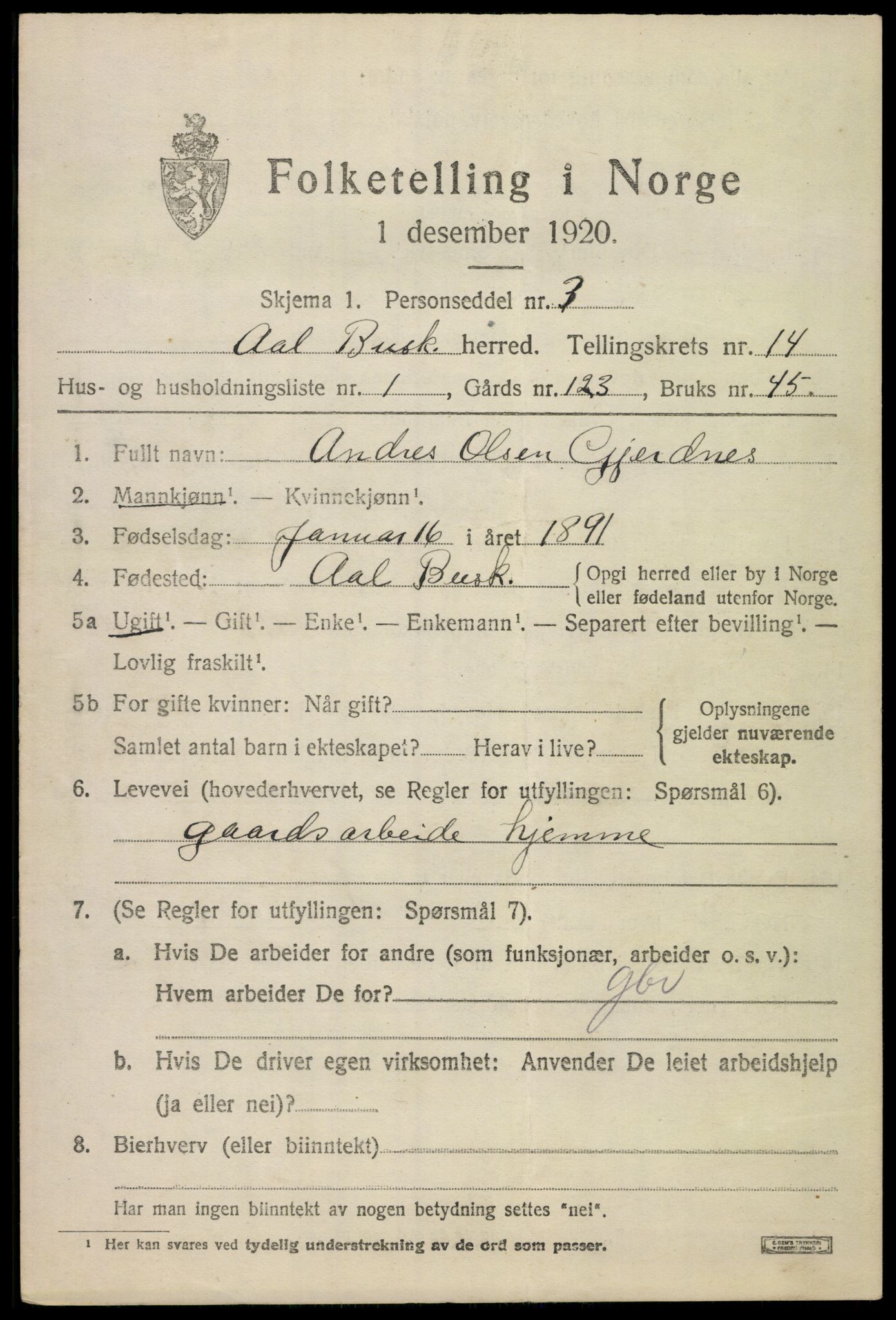 SAKO, 1920 census for Ål, 1920, p. 8070