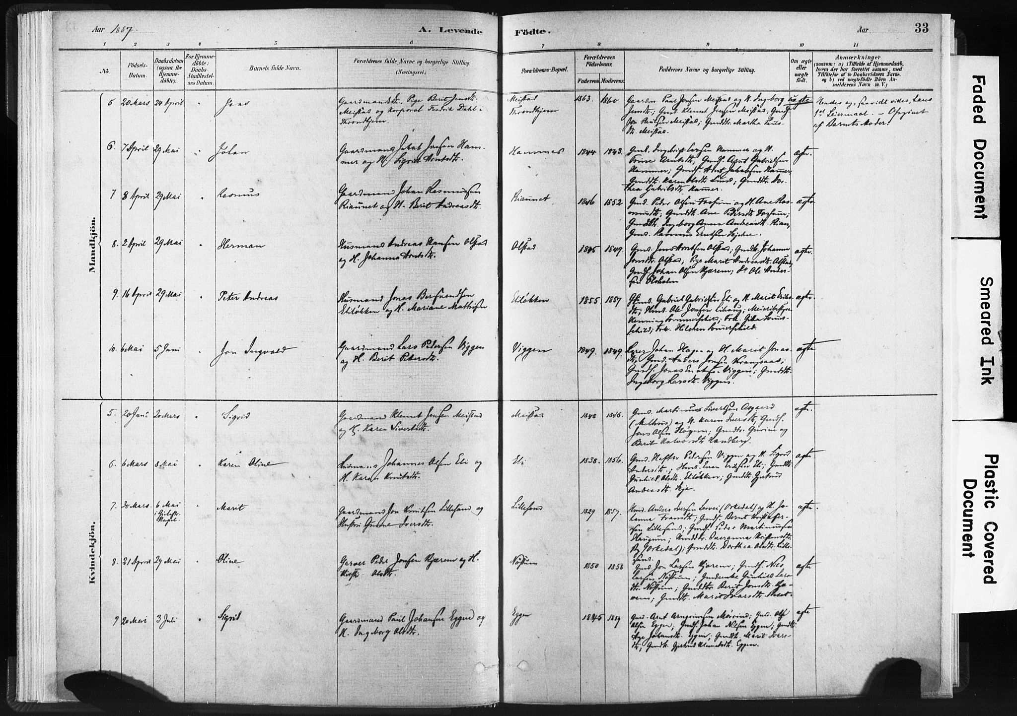 Ministerialprotokoller, klokkerbøker og fødselsregistre - Sør-Trøndelag, SAT/A-1456/665/L0773: Parish register (official) no. 665A08, 1879-1905, p. 33