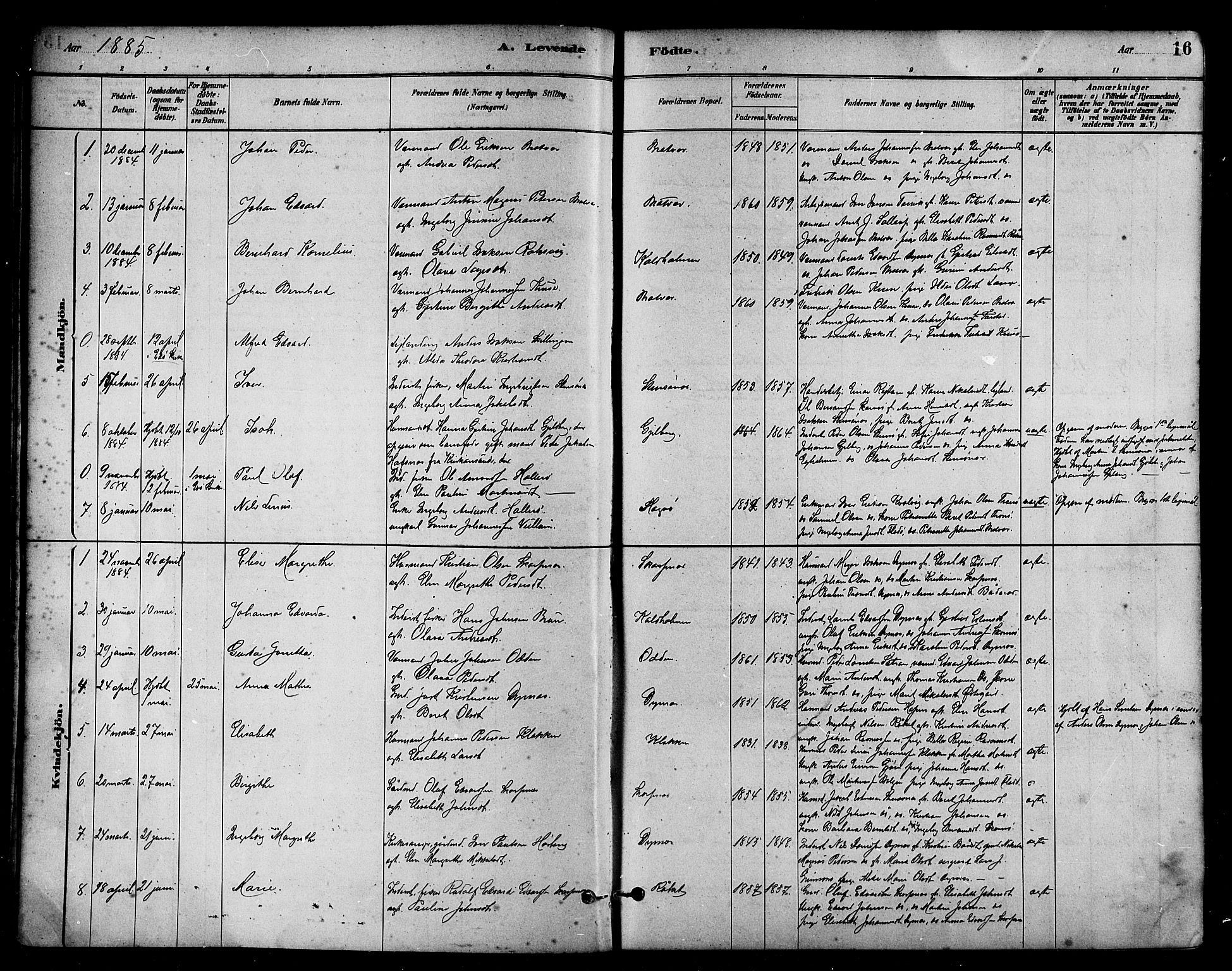 Ministerialprotokoller, klokkerbøker og fødselsregistre - Møre og Romsdal, AV/SAT-A-1454/582/L0947: Parish register (official) no. 582A01, 1880-1900, p. 16