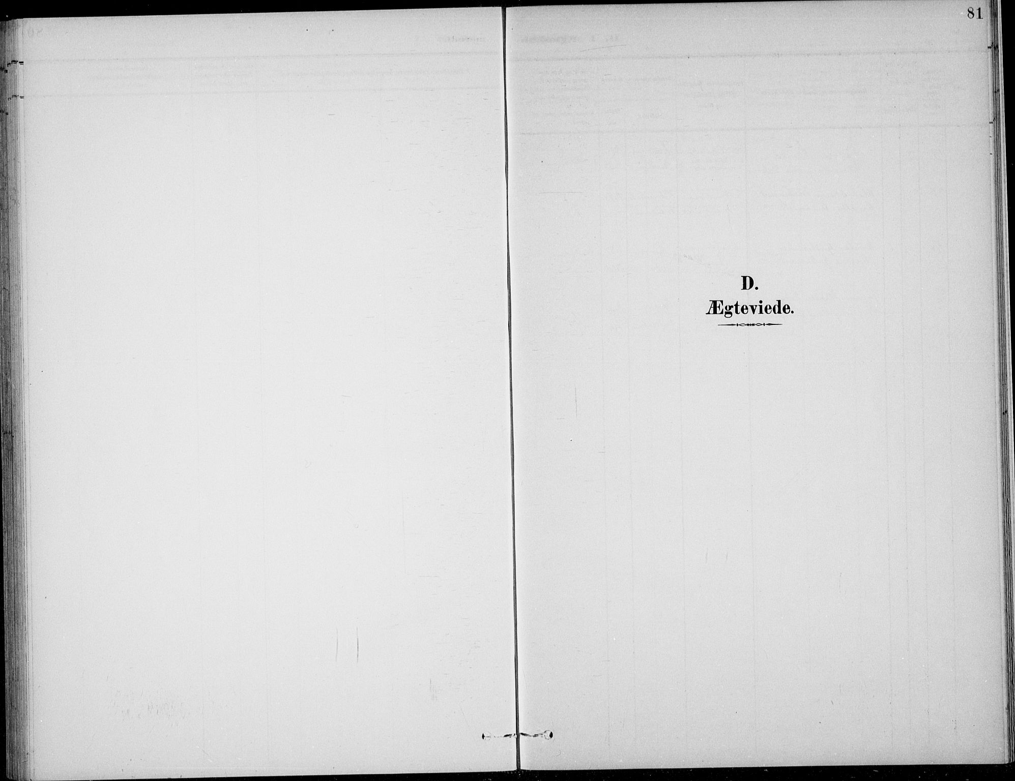 Nordre Land prestekontor, SAH/PREST-124/H/Ha/Hab/L0014: Parish register (copy) no. 14, 1891-1907, p. 81