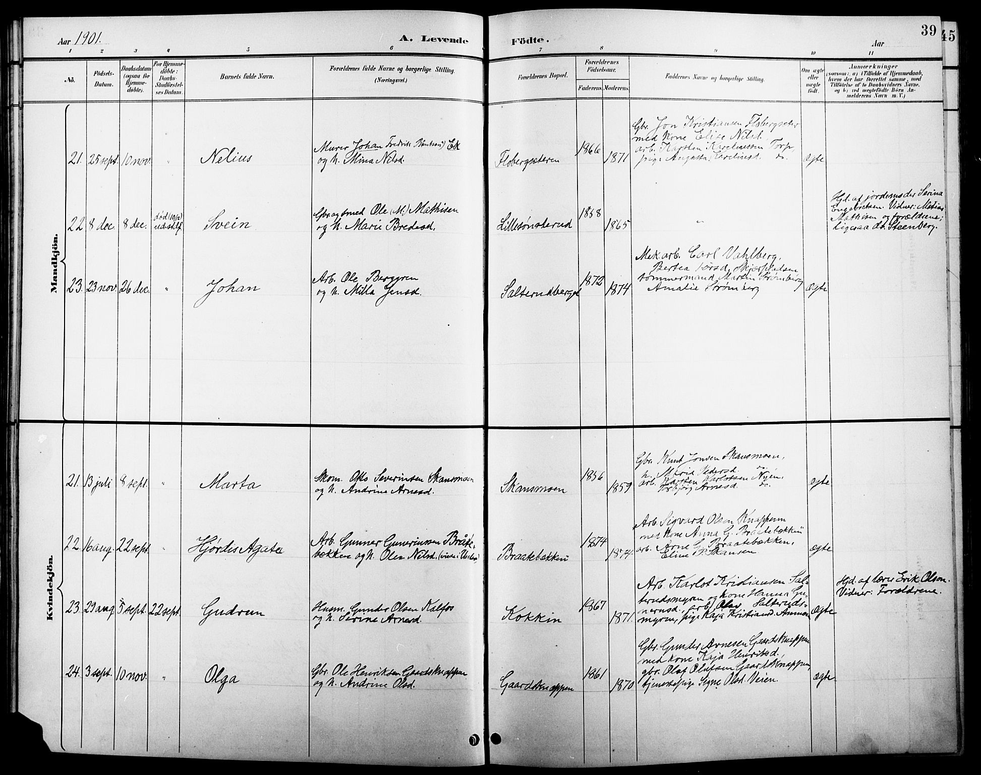 Åsnes prestekontor, AV/SAH-PREST-042/H/Ha/Hab/L0005: Parish register (copy) no. 5, 1895-1920, p. 39