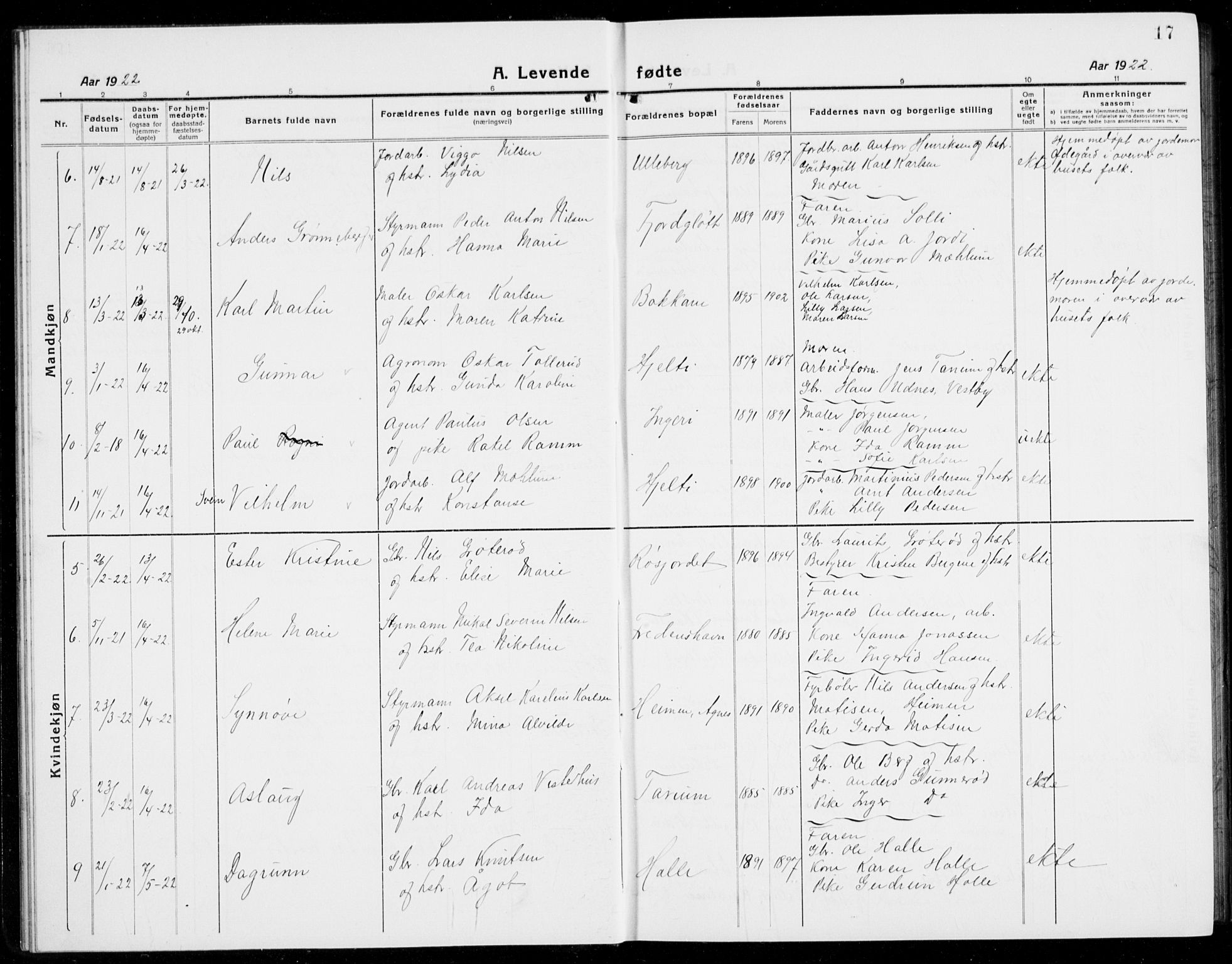 Brunlanes kirkebøker, AV/SAKO-A-342/G/Ga/L0005: Parish register (copy) no. I 5, 1918-1941, p. 17