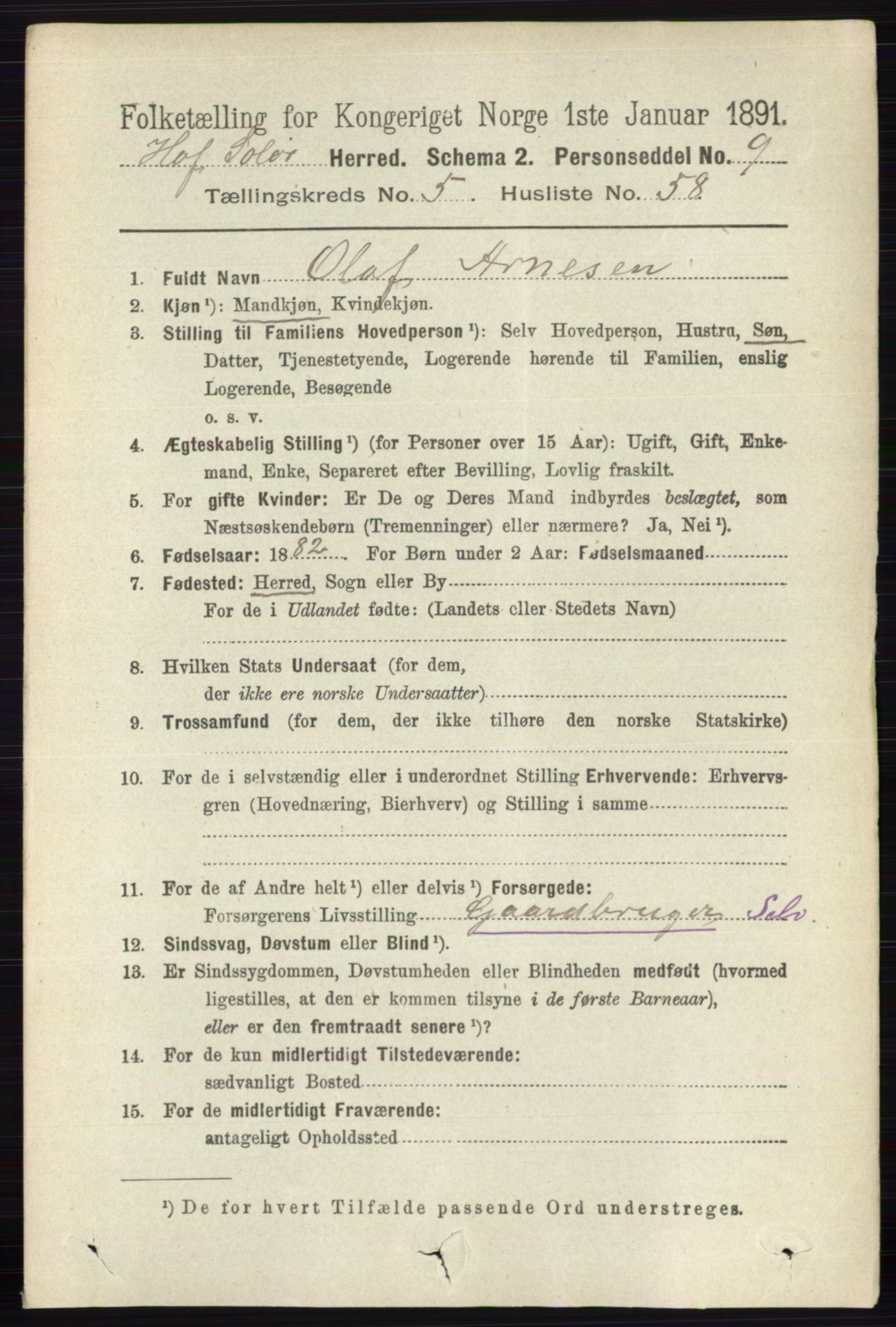 RA, 1891 census for 0424 Hof, 1891, p. 2186