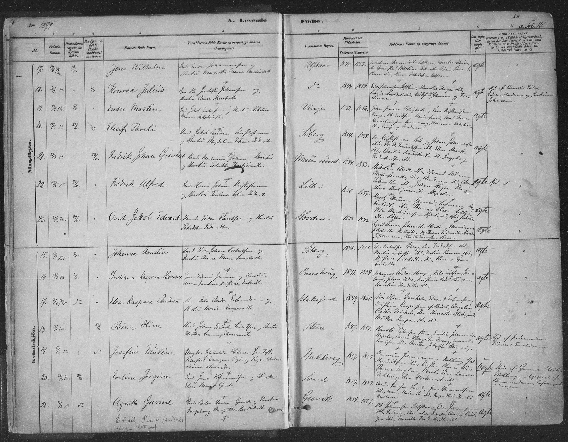 Ministerialprotokoller, klokkerbøker og fødselsregistre - Nordland, AV/SAT-A-1459/891/L1302: Parish register (official) no. 891A07, 1878-1895, p. 15