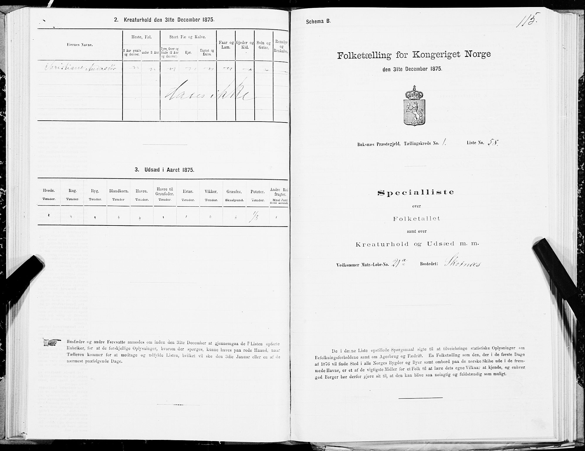 SAT, 1875 census for 1860P Buksnes, 1875, p. 1115