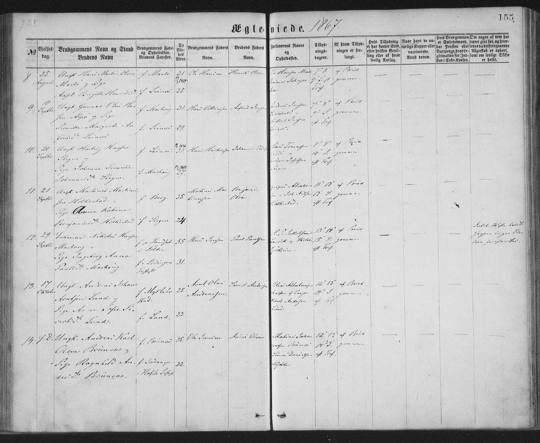 Ministerialprotokoller, klokkerbøker og fødselsregistre - Nordland, AV/SAT-A-1459/855/L0801: Parish register (official) no. 855A09, 1864-1874, p. 155