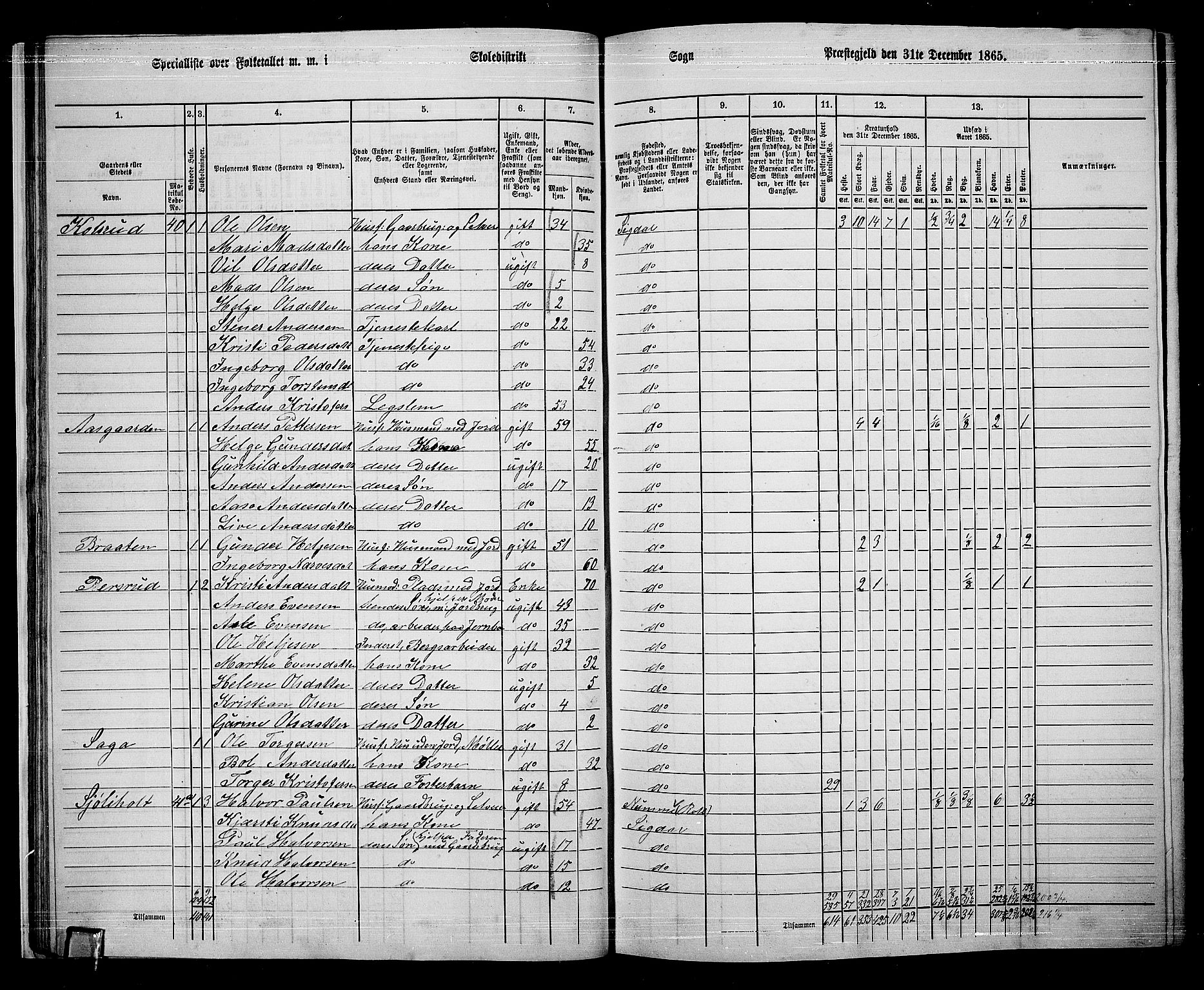 RA, 1865 census for Sigdal, 1865, p. 39