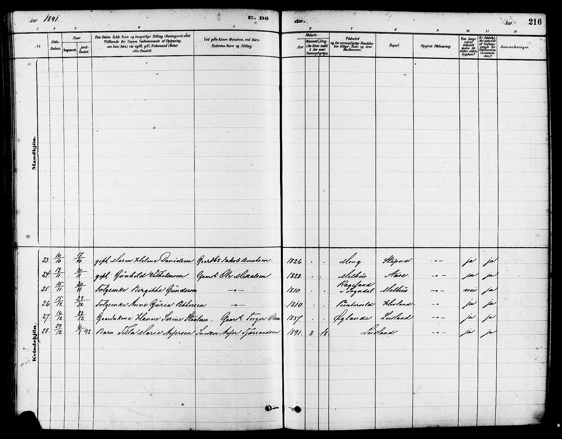 Eigersund sokneprestkontor, AV/SAST-A-101807/S08/L0017: Parish register (official) no. A 14, 1879-1892, p. 216