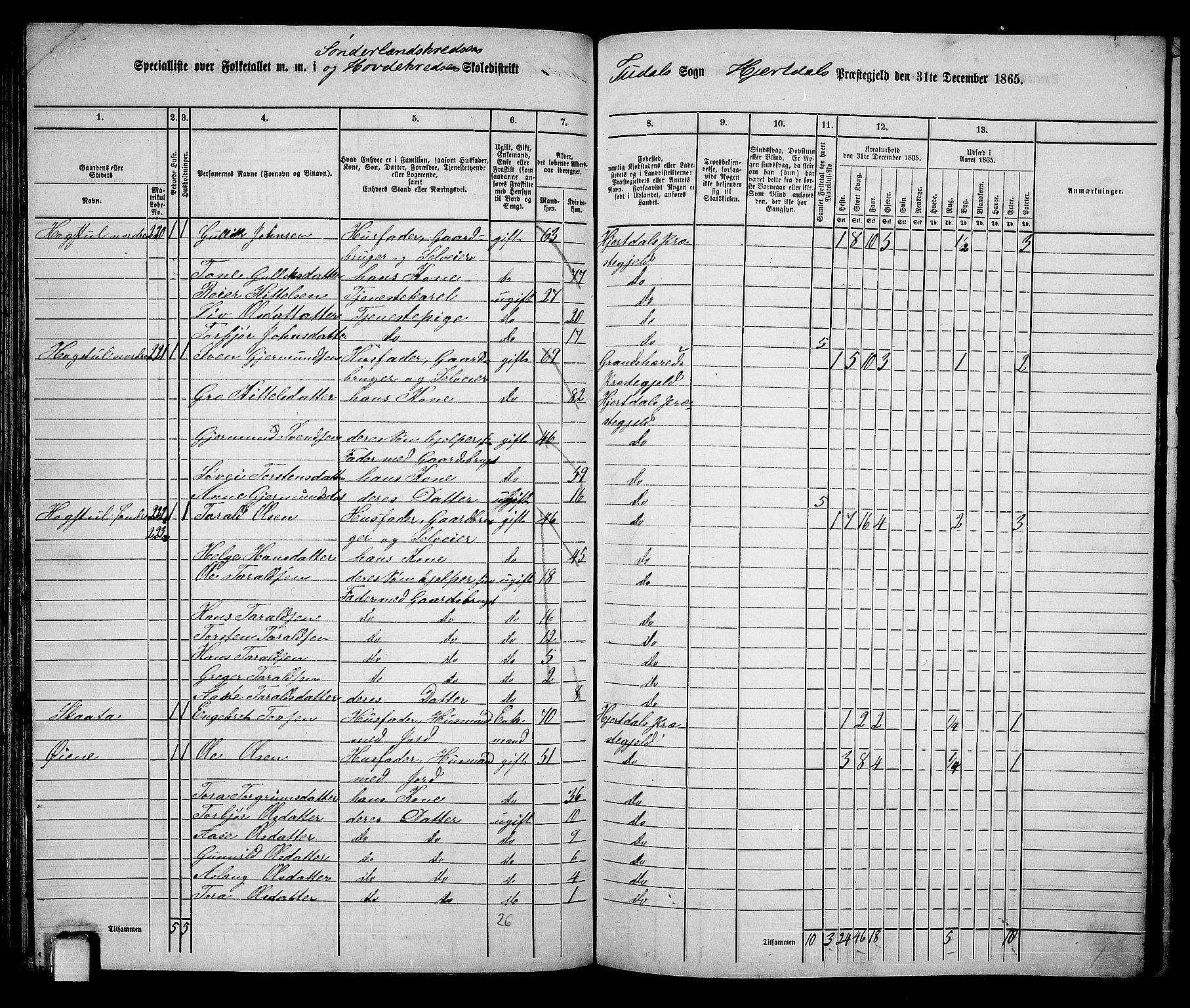 RA, 1865 census for Hjartdal, 1865, p. 113