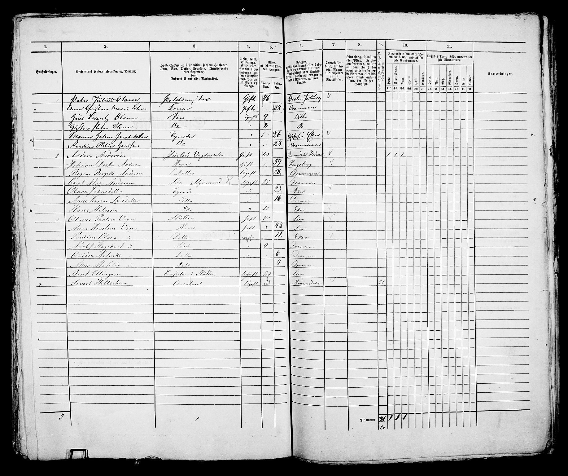 RA, 1865 census for Bragernes in Drammen, 1865, p. 428