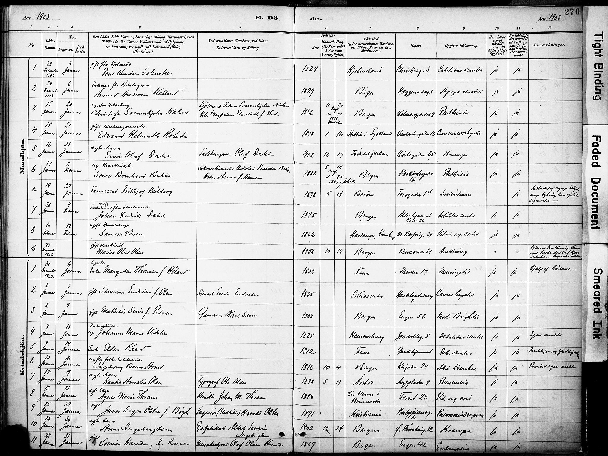 Domkirken sokneprestembete, SAB/A-74801/H/Haa/L0043: Parish register (official) no. E 5, 1882-1904, p. 270