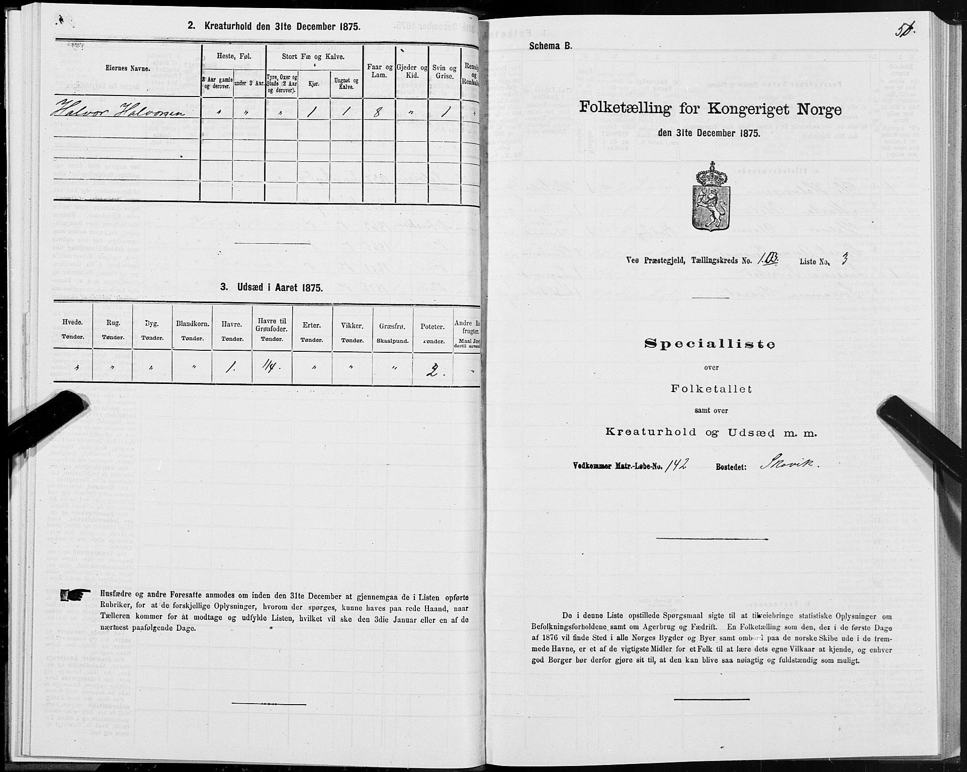 SAT, 1875 census for 1541P Veøy, 1875, p. 1051