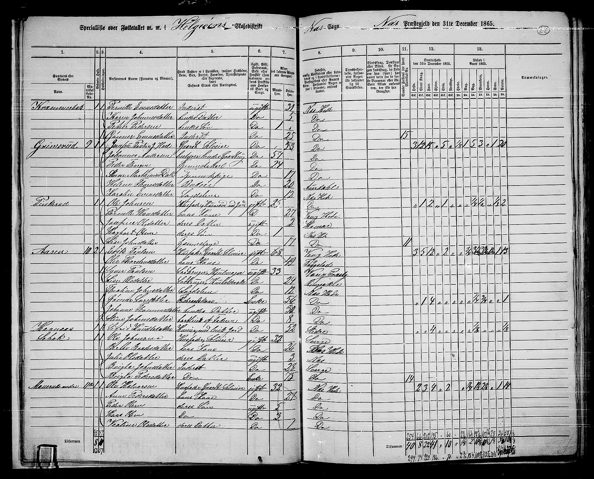 RA, 1865 census for Nes, 1865, p. 20