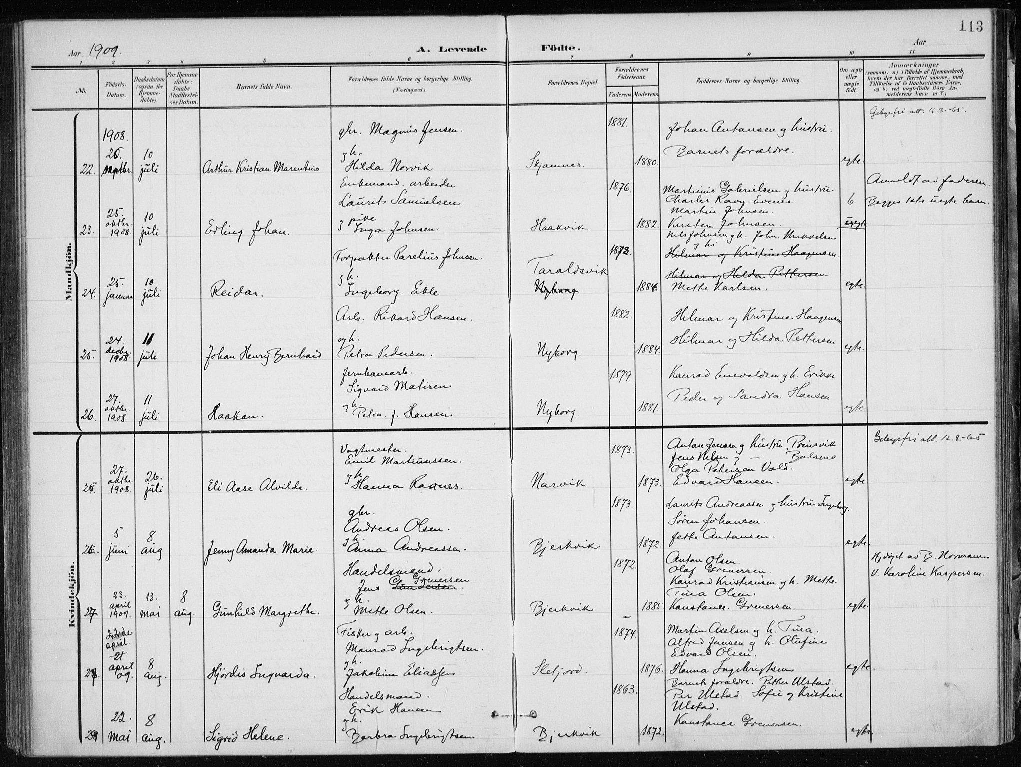 Ministerialprotokoller, klokkerbøker og fødselsregistre - Nordland, AV/SAT-A-1459/866/L0941: Parish register (official) no. 866A04, 1901-1917, p. 113